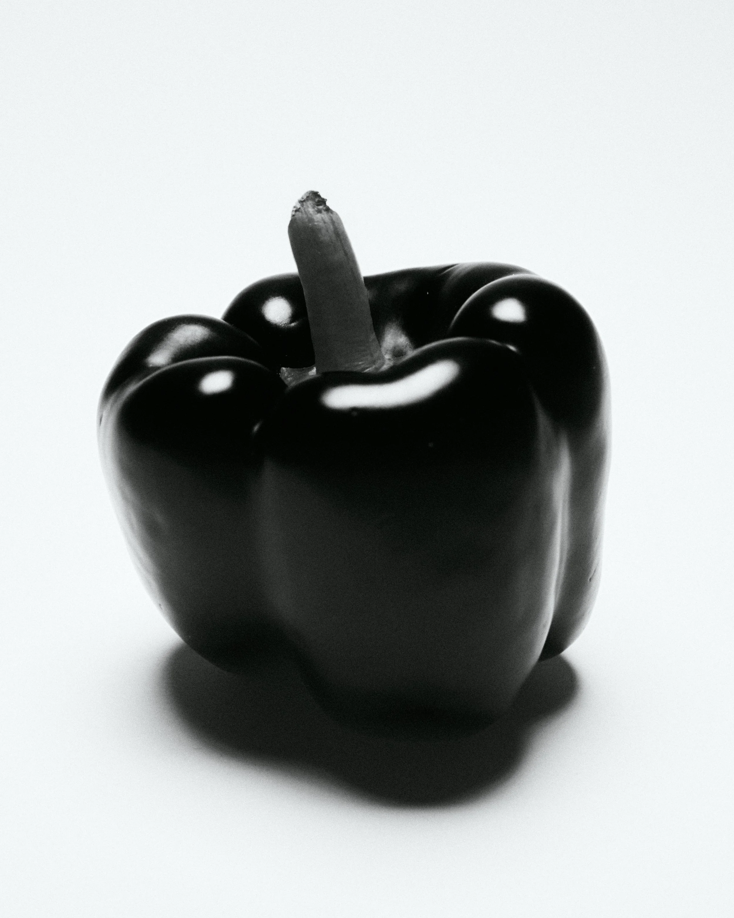 TEST NATURE MORTE1802.jpg