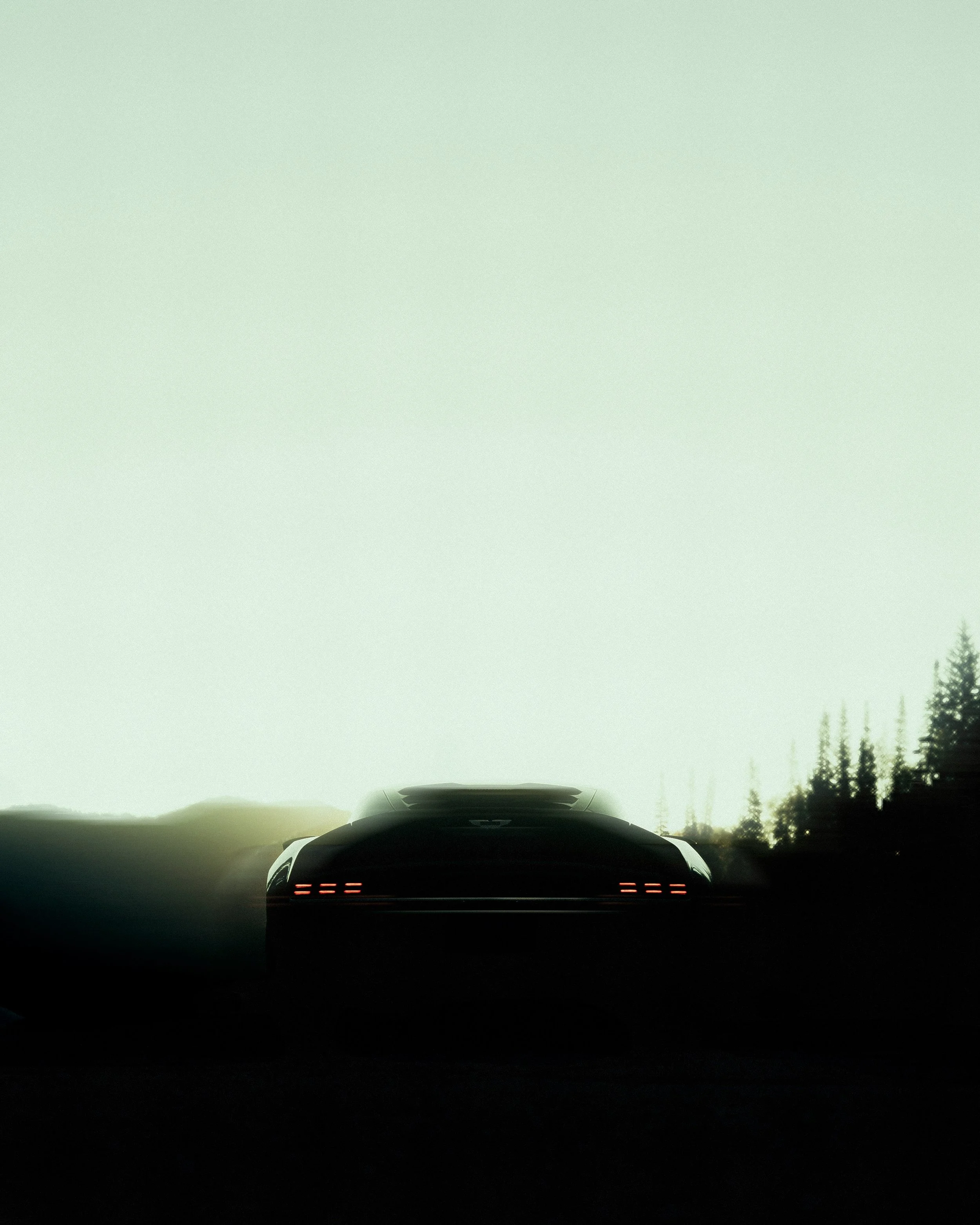 Rear | Blur-3.jpg