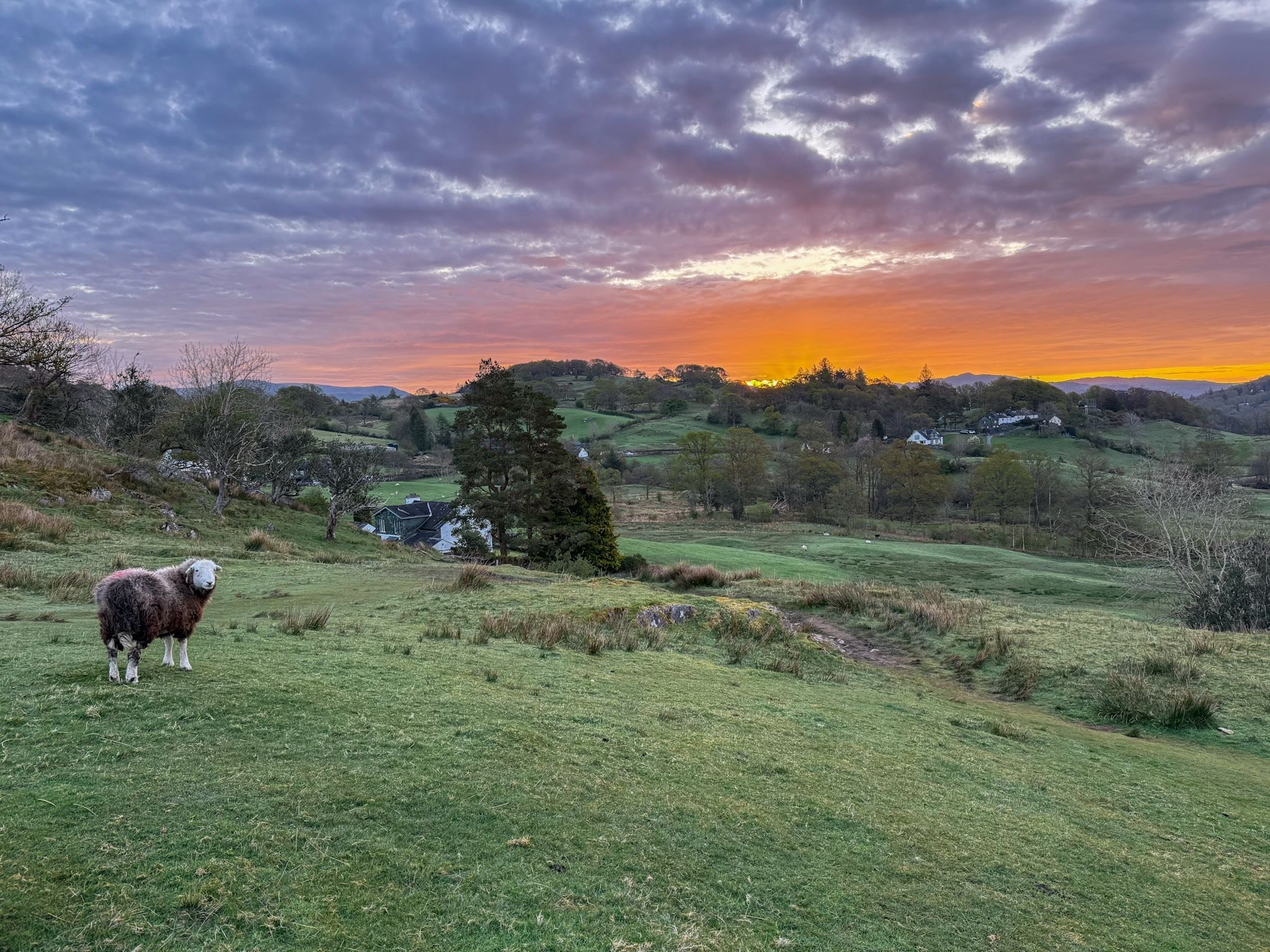 Voices from the Garden: Memories of Wildness