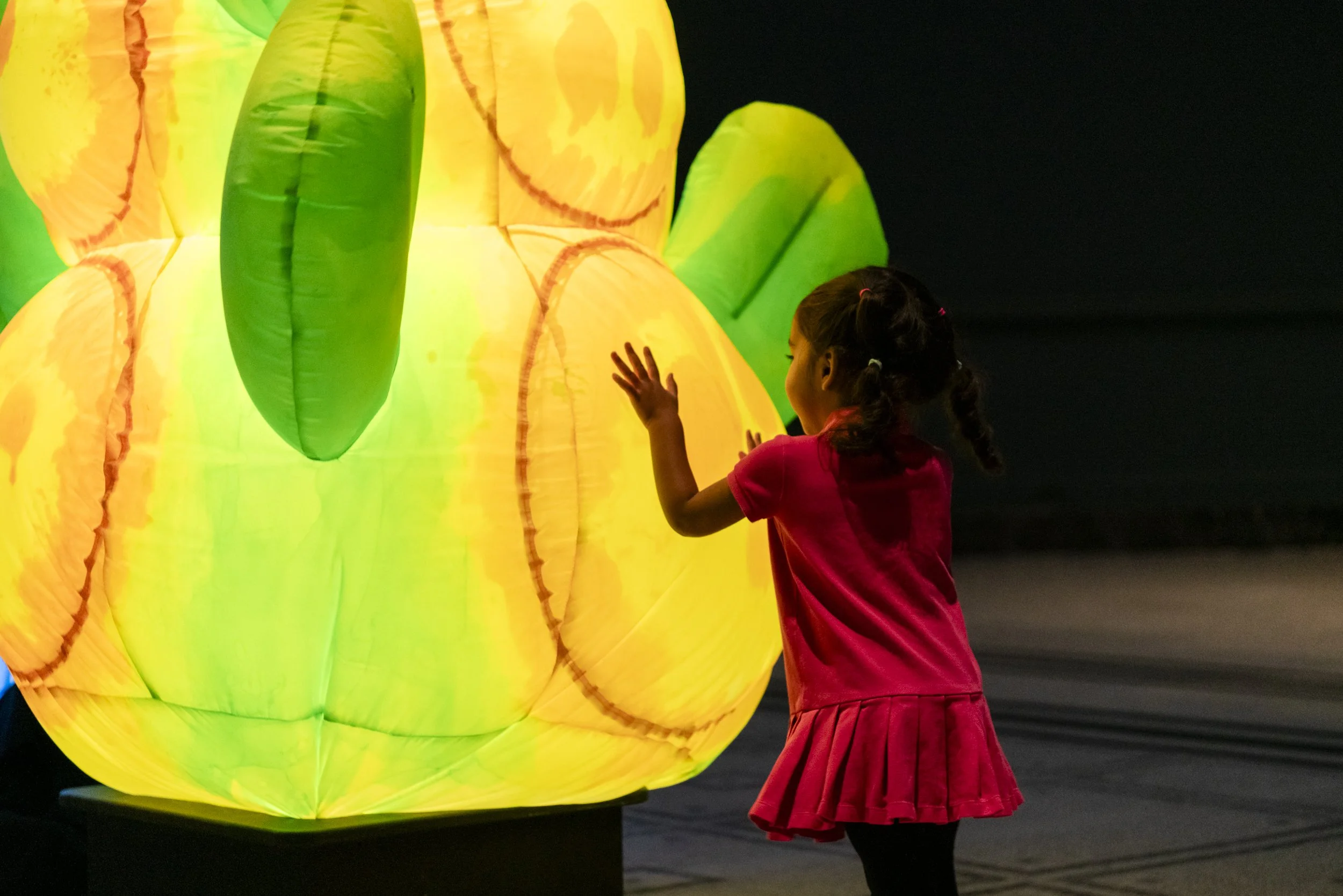 Video: Green Street Glow Garden