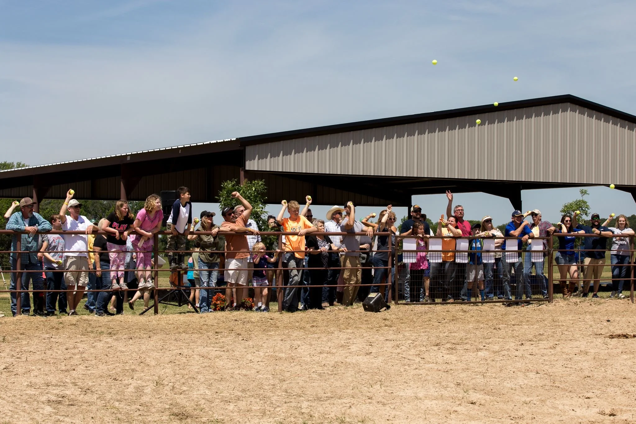 Tennis Ball Toss.jpeg