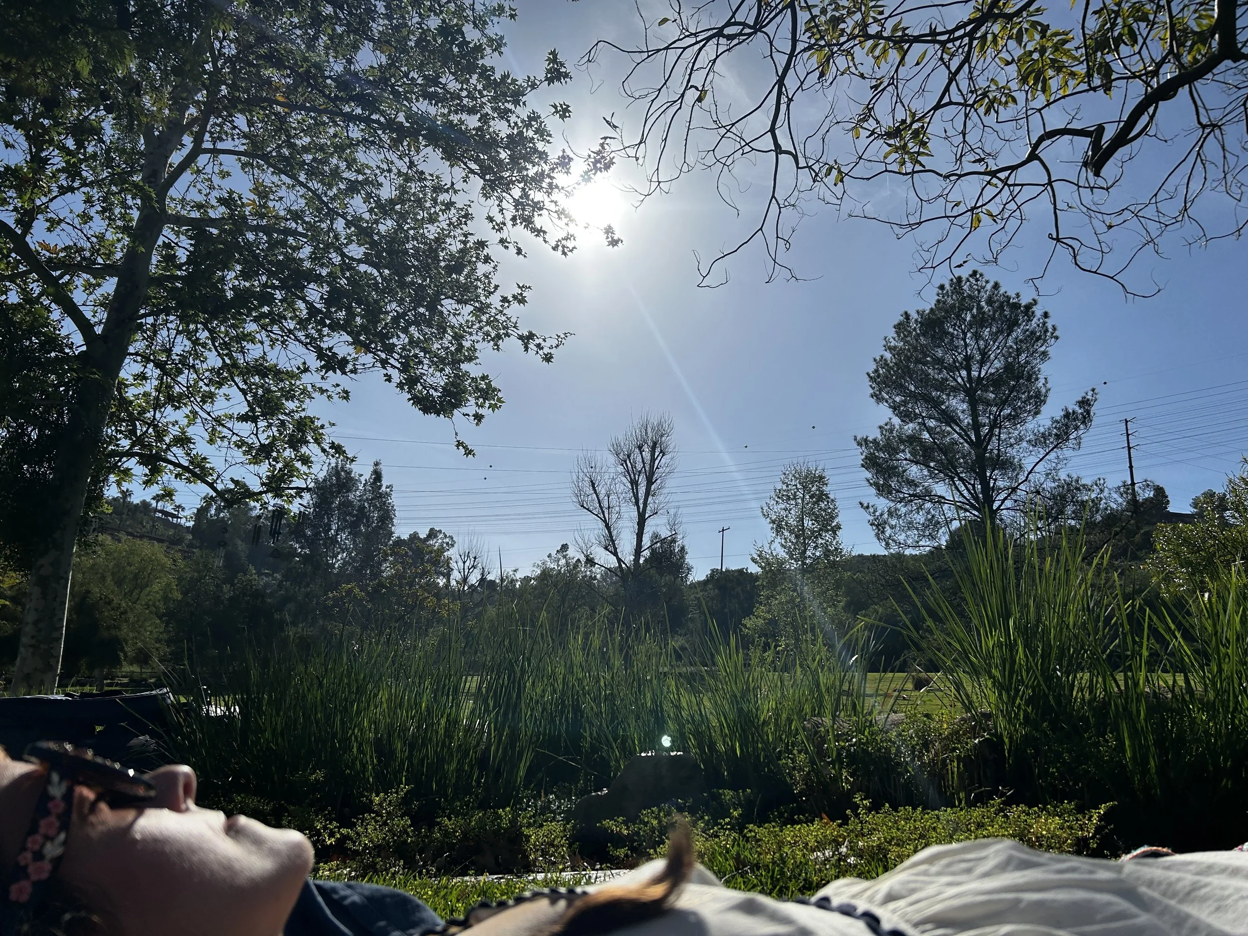 Sound Bath in the Cemetery with Brent Honnerlaw & The Death Network @Singing Hills Memorial Park 