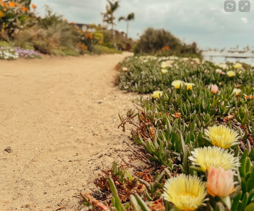 When It Is Not Well With My Soul Wendy Kessler Grief Coach The Death Network