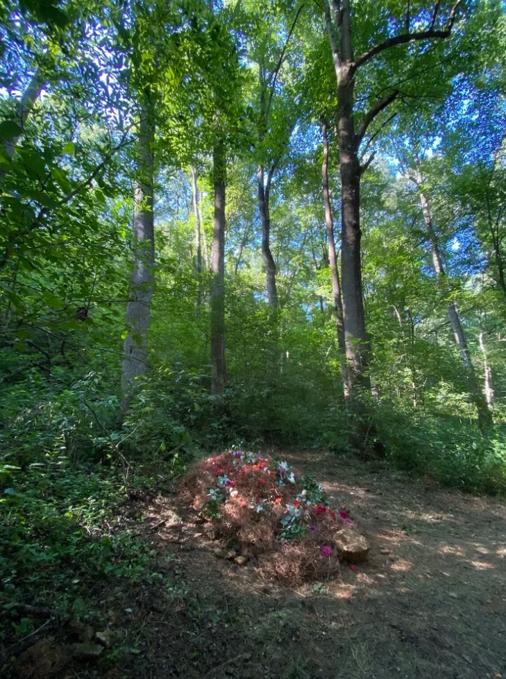 Larkspur Conservation Cemetery TN