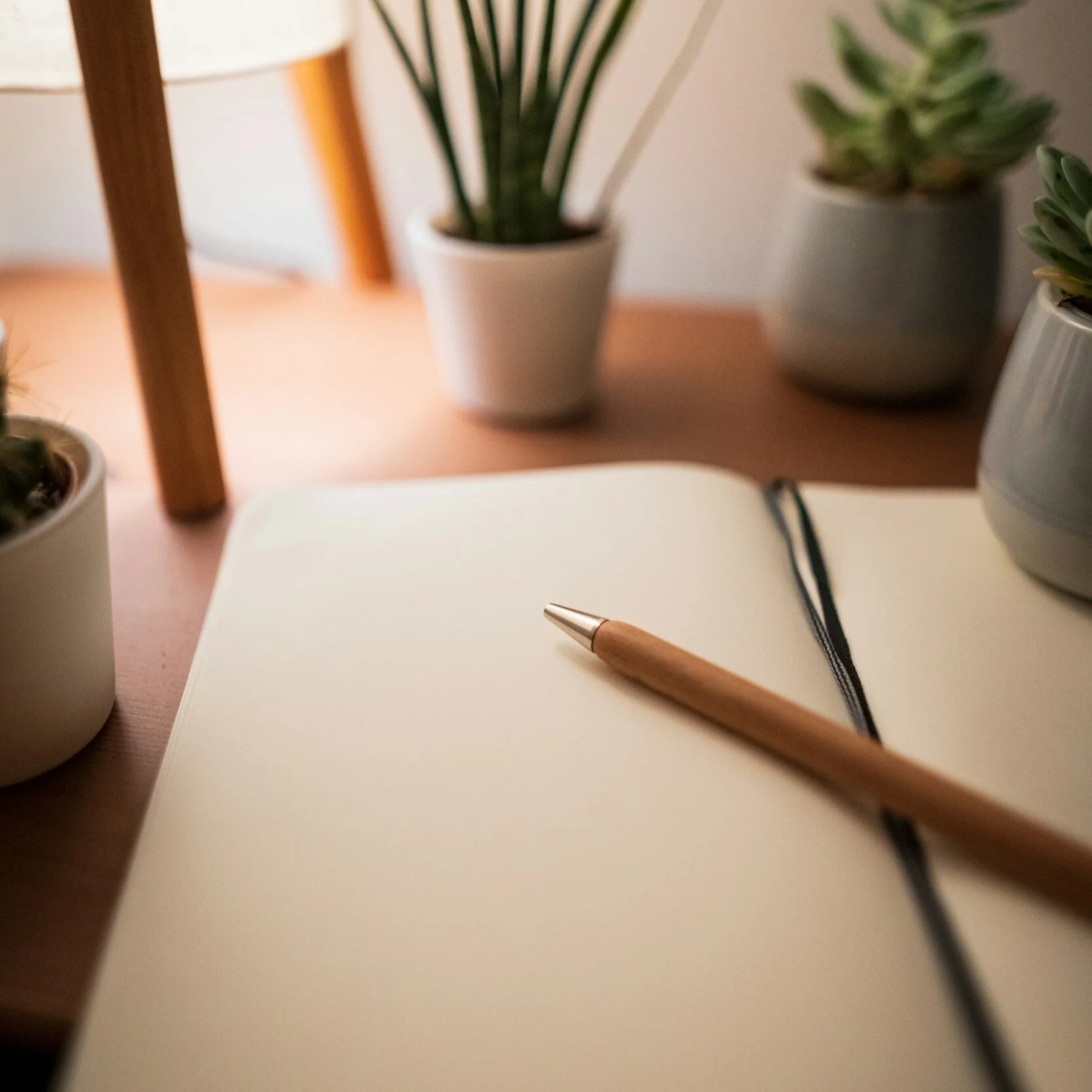The Death Network End-of-Life Planning Articles