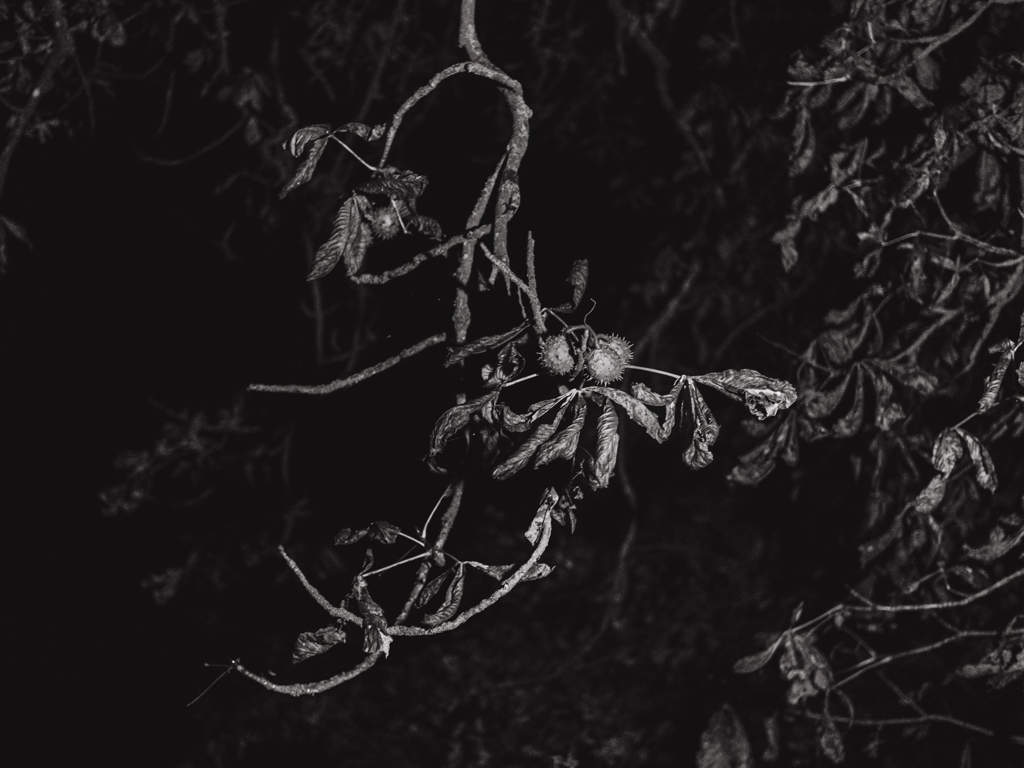 stil_here_and_gone_01-3.jpg
