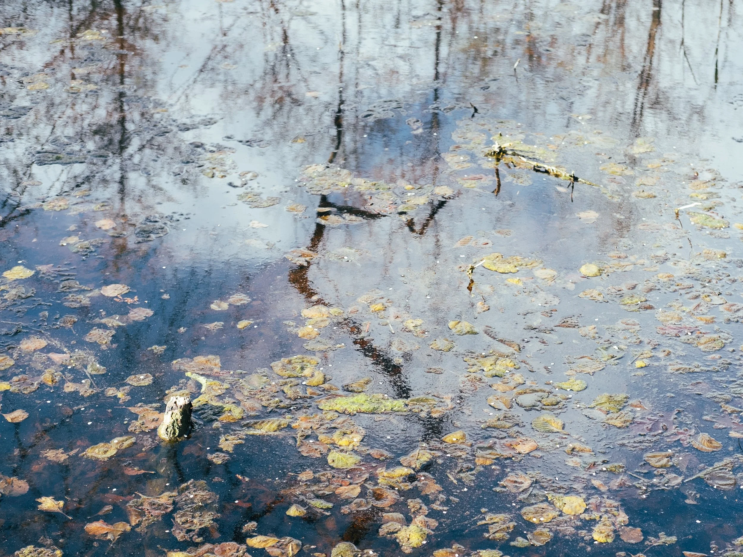 Wegträumen-83.jpg