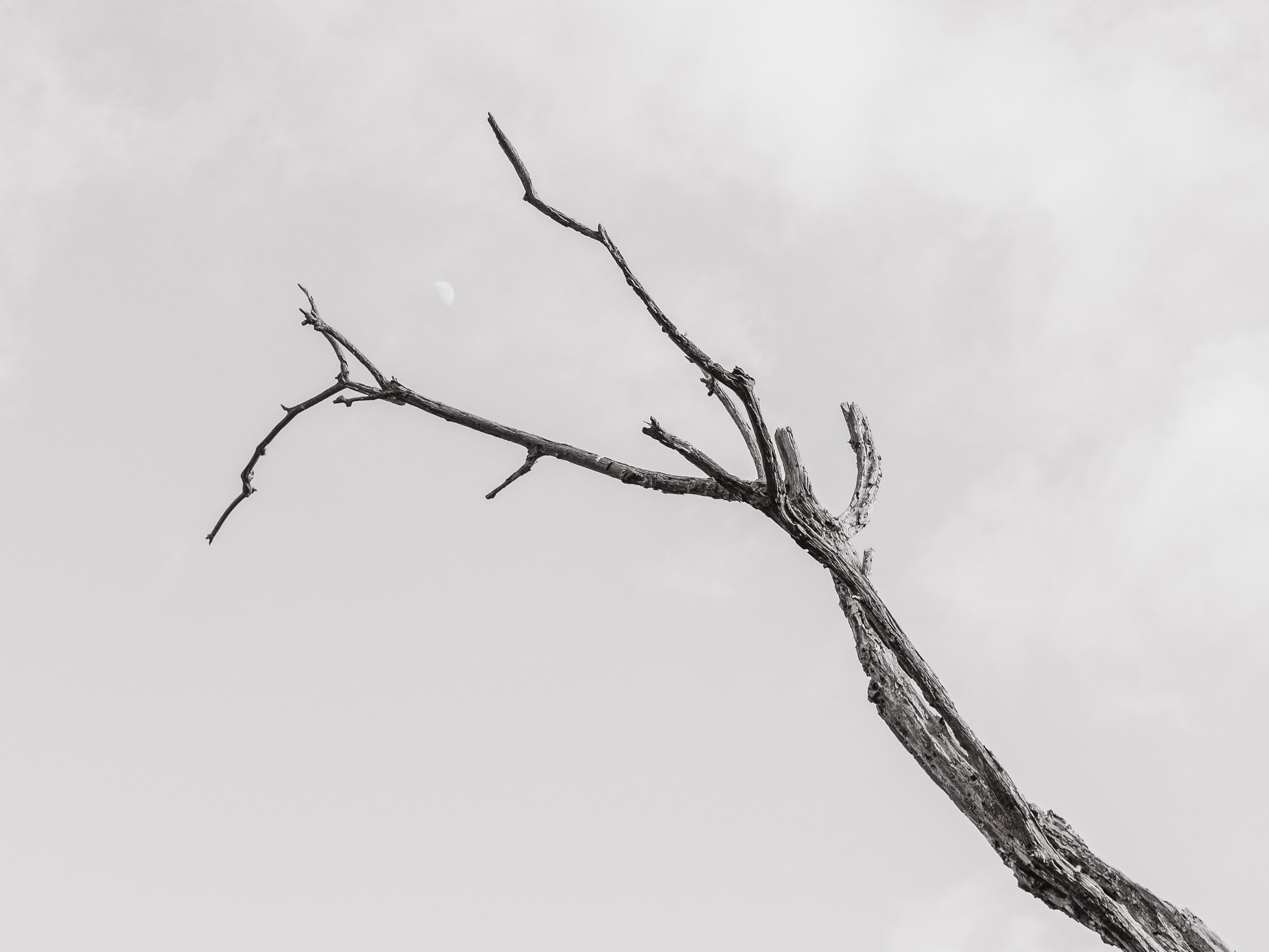 Wegträumen-40.jpg