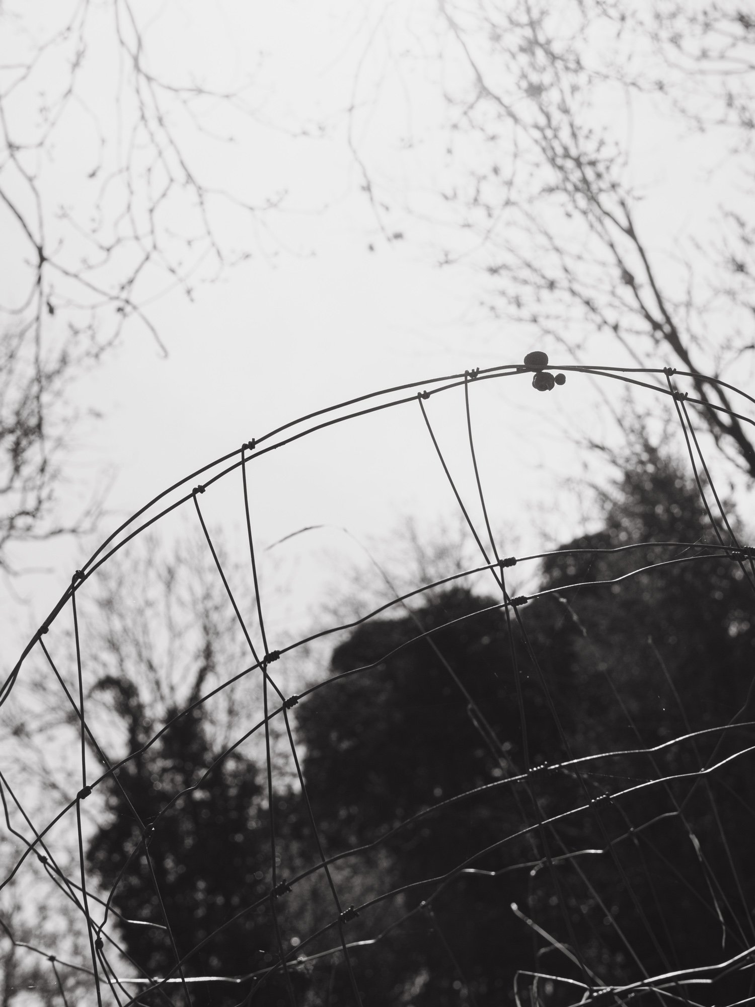 stil_here_and_gone_01.jpg