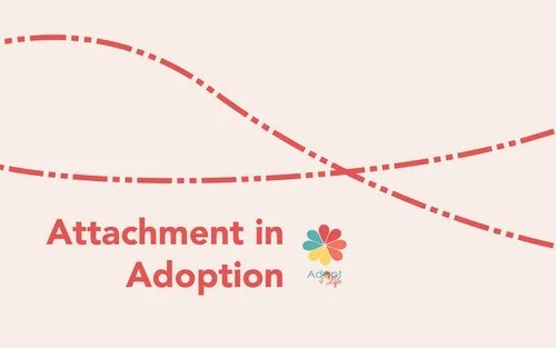 Adopt4Life Hosts Attachment in Adoption Campaign and Honours Black History Month
