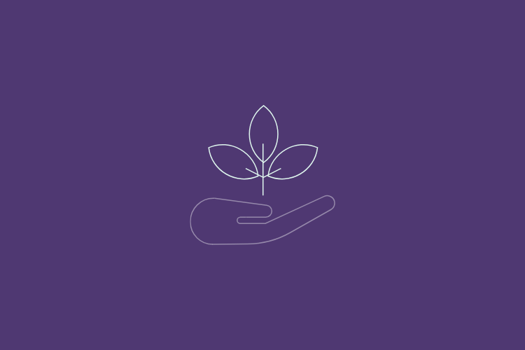 Ways to Give: Every Act of Support Makes a Difference