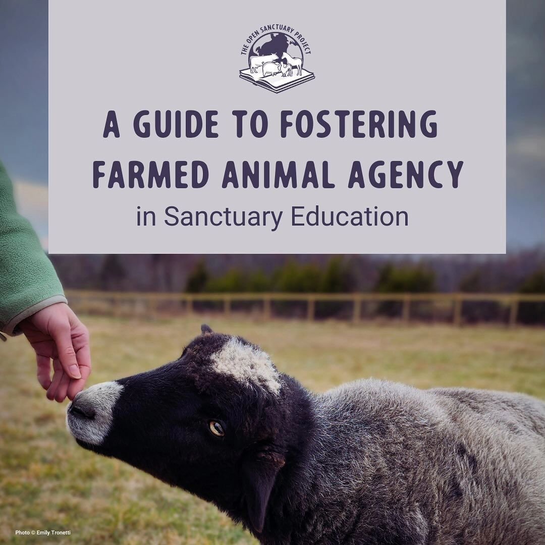 I am so thrilled to share that the resource I created as part of my dissertation is now published and freely available on @theopensanctuaryproject!

As I write in my dissertation, &quot;This project was, in many ways, the culmination of my life&rsquo