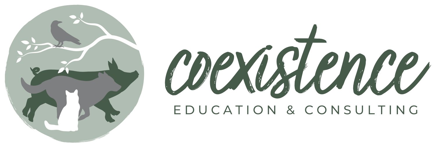 Coexistence Education &amp; Consulting