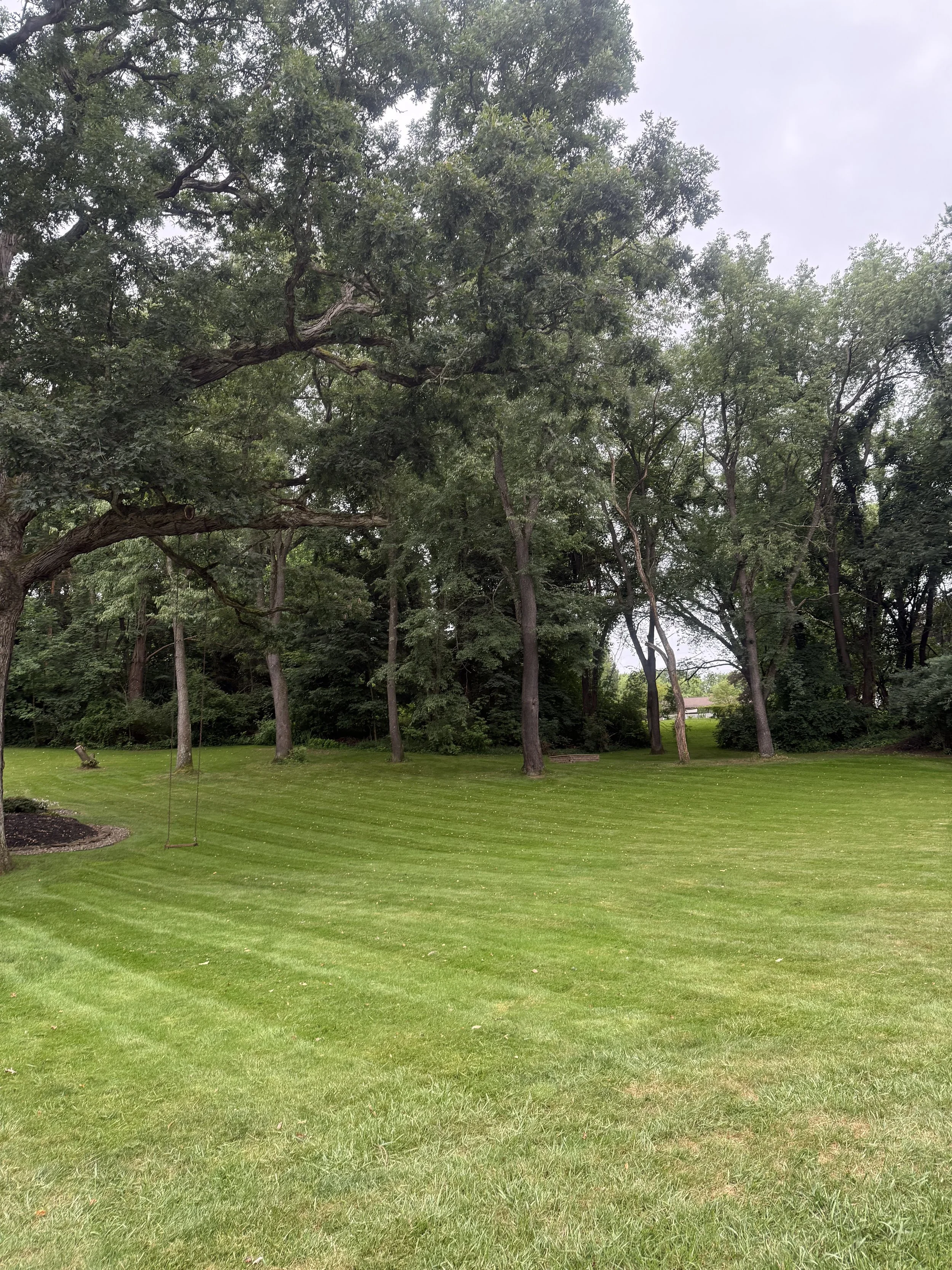 Full service Lawn Maintenance