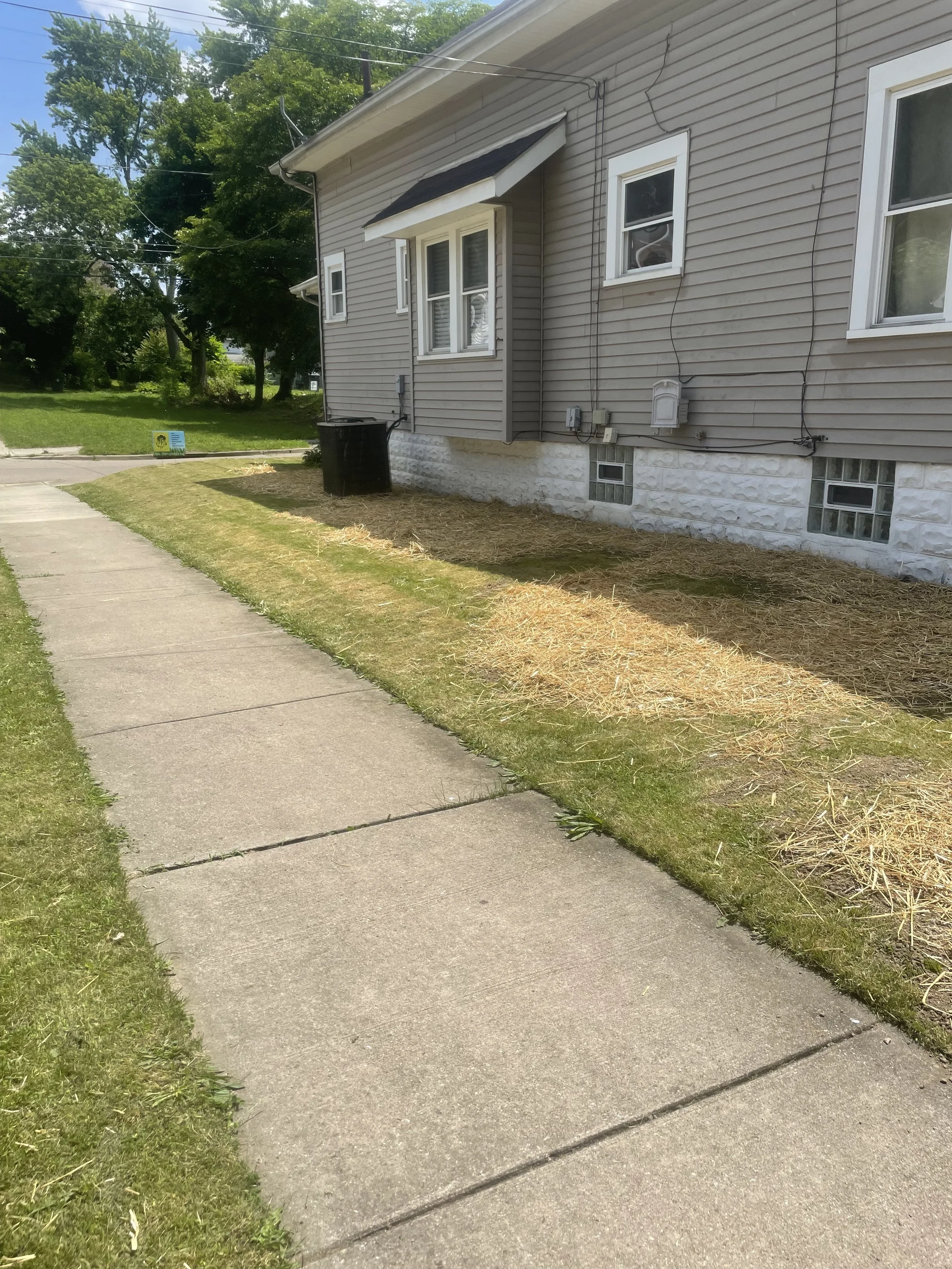 Lawn Repair