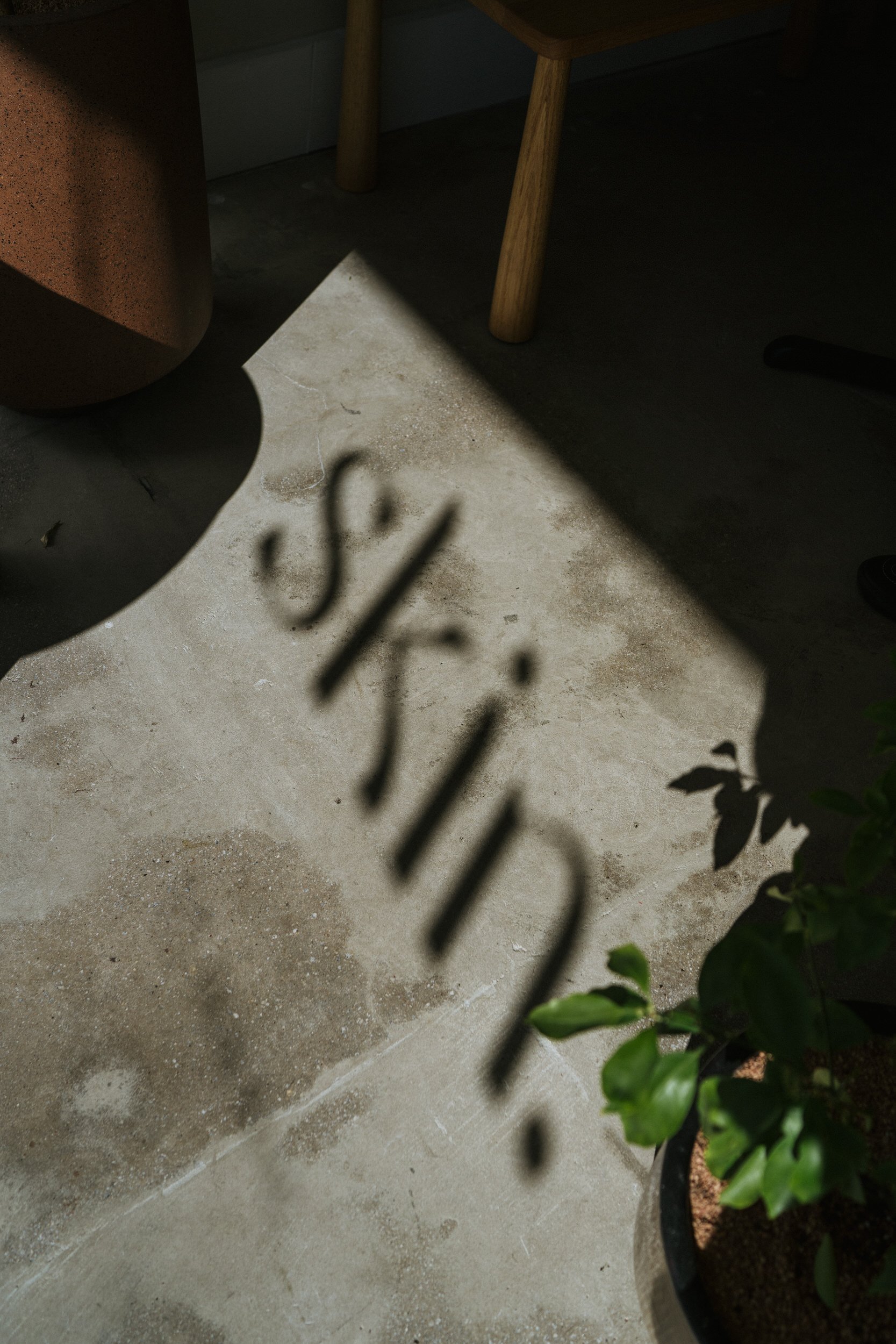 skin-8.jpg