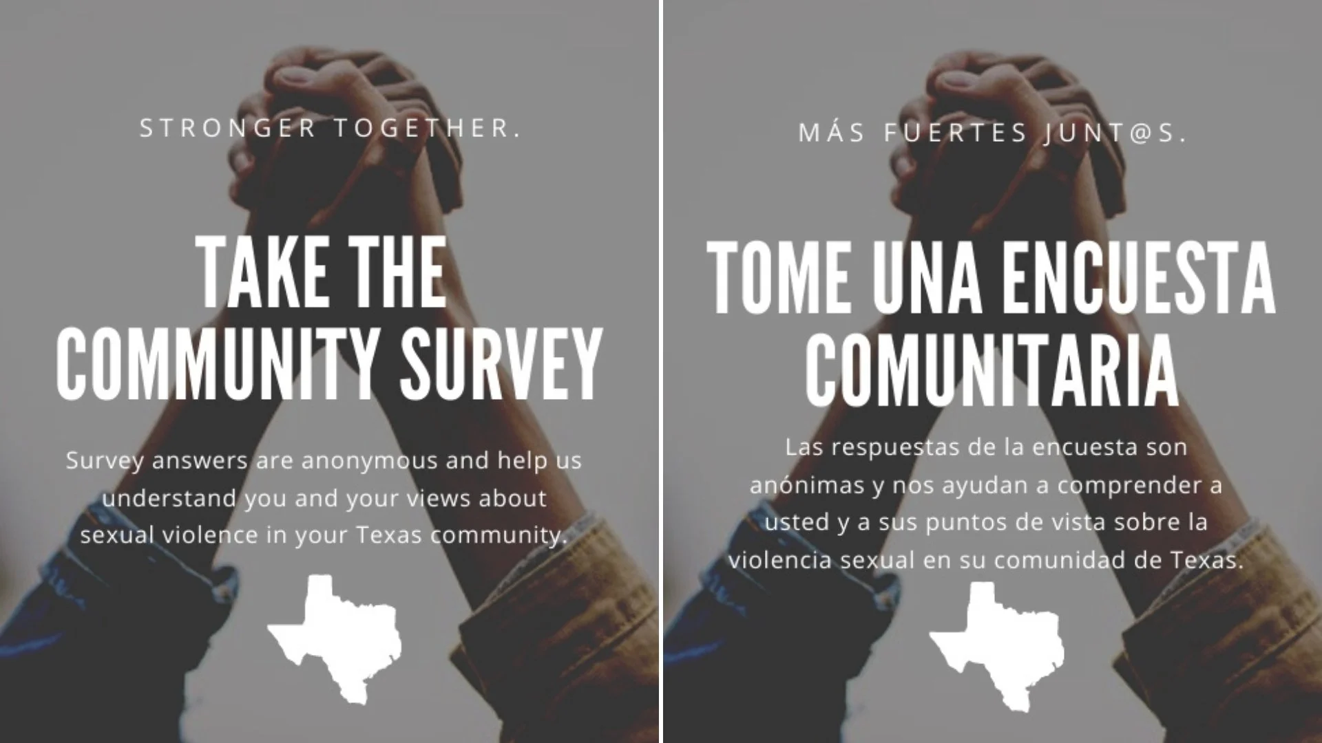 Sexual Violence Primary Prevention Survey