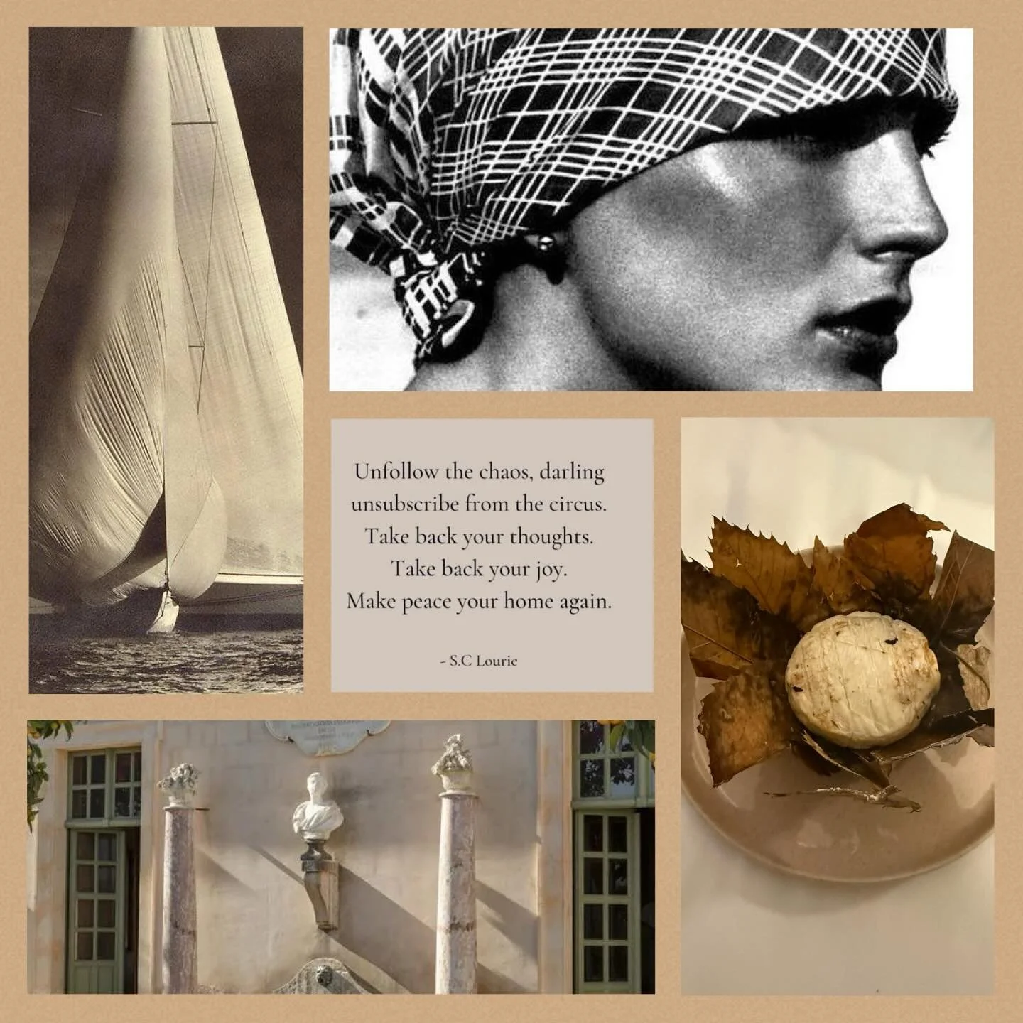 Monday Mood&hellip;.&rdquo;Unfollow the chaos, darling unsubscribe from the circus.
Take back your thoughts.
Take back your joy.
Make peace your home again&rdquo;.
Though I am NOT suggesting we unplug from what we are all so painfully witnessing but 