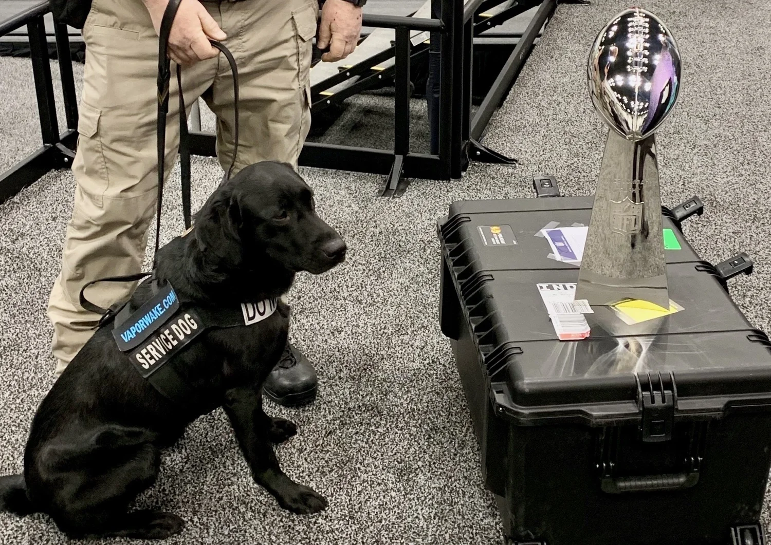 EXPLOSIVES, FIREARMS, NARCOTICS, CONTRABAND DETECTION K9s. Portland, OR ...