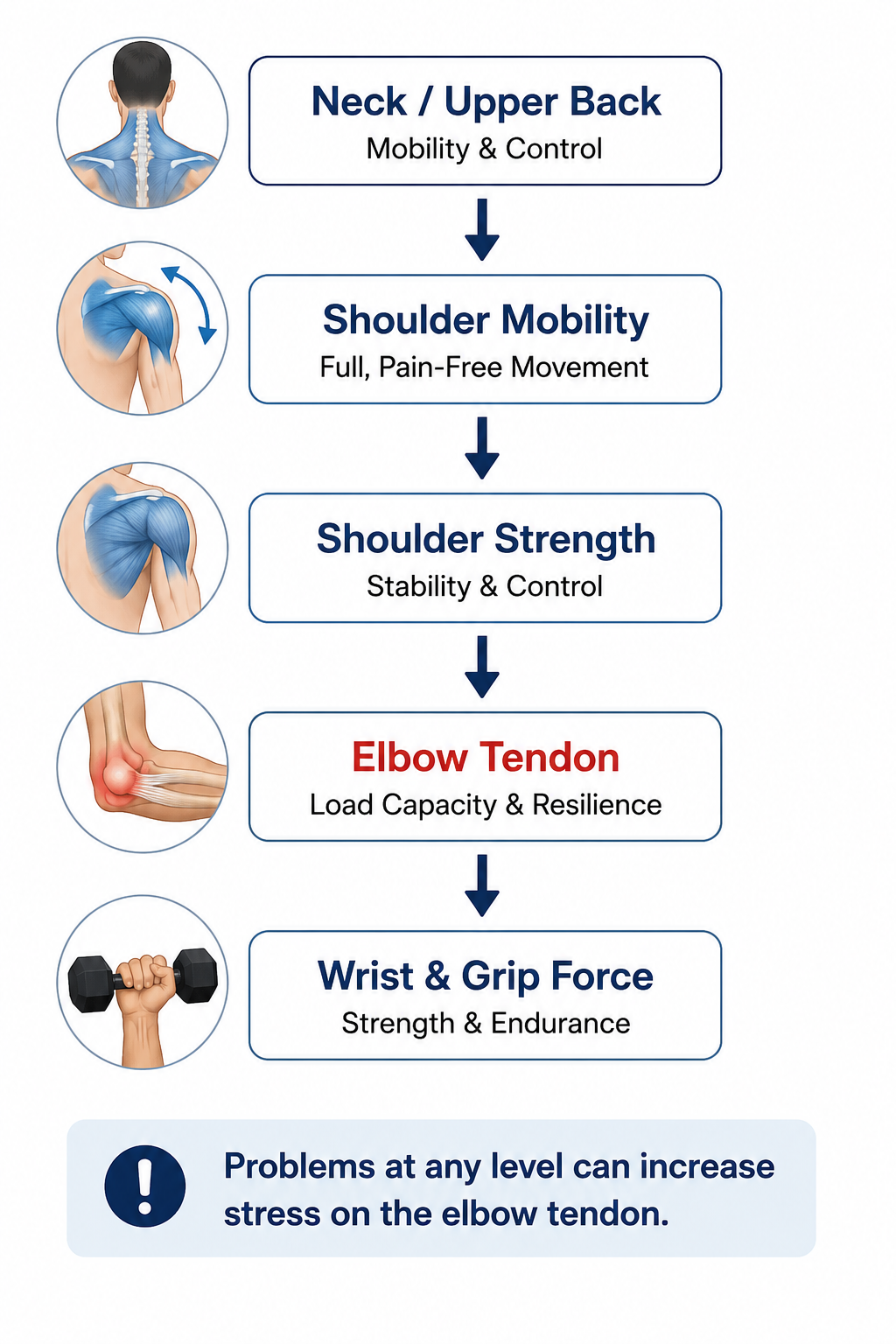 Diagram illustrating how neck mobility, upper back mobility, shoulder function, and postural endurance can influence recurring headaches and contribute to cervicogenic headache symptoms