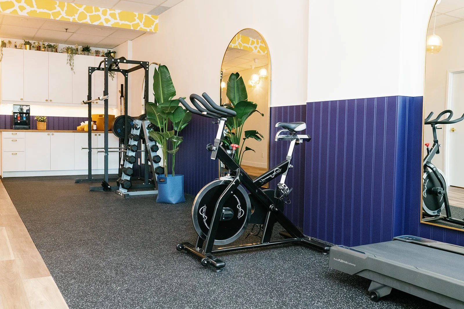 A small gym or fitness room with workout equipment including a treadmill, a stationary bike, a weightlifting rack with dumbbells, tall green plants, a mirror, and a kitchenette area with cabinets and plants on top, decorated with yellow giraffe-patterned accents.