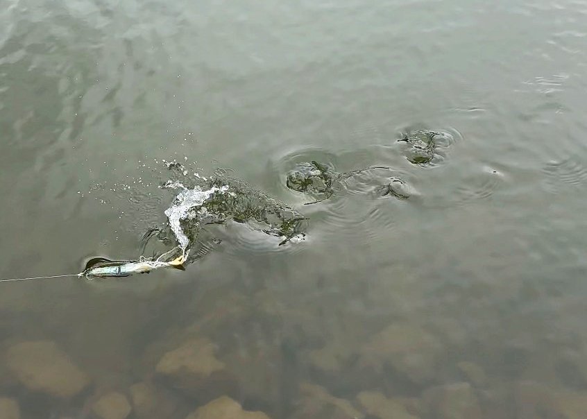 8in Bunker vortex.jpg