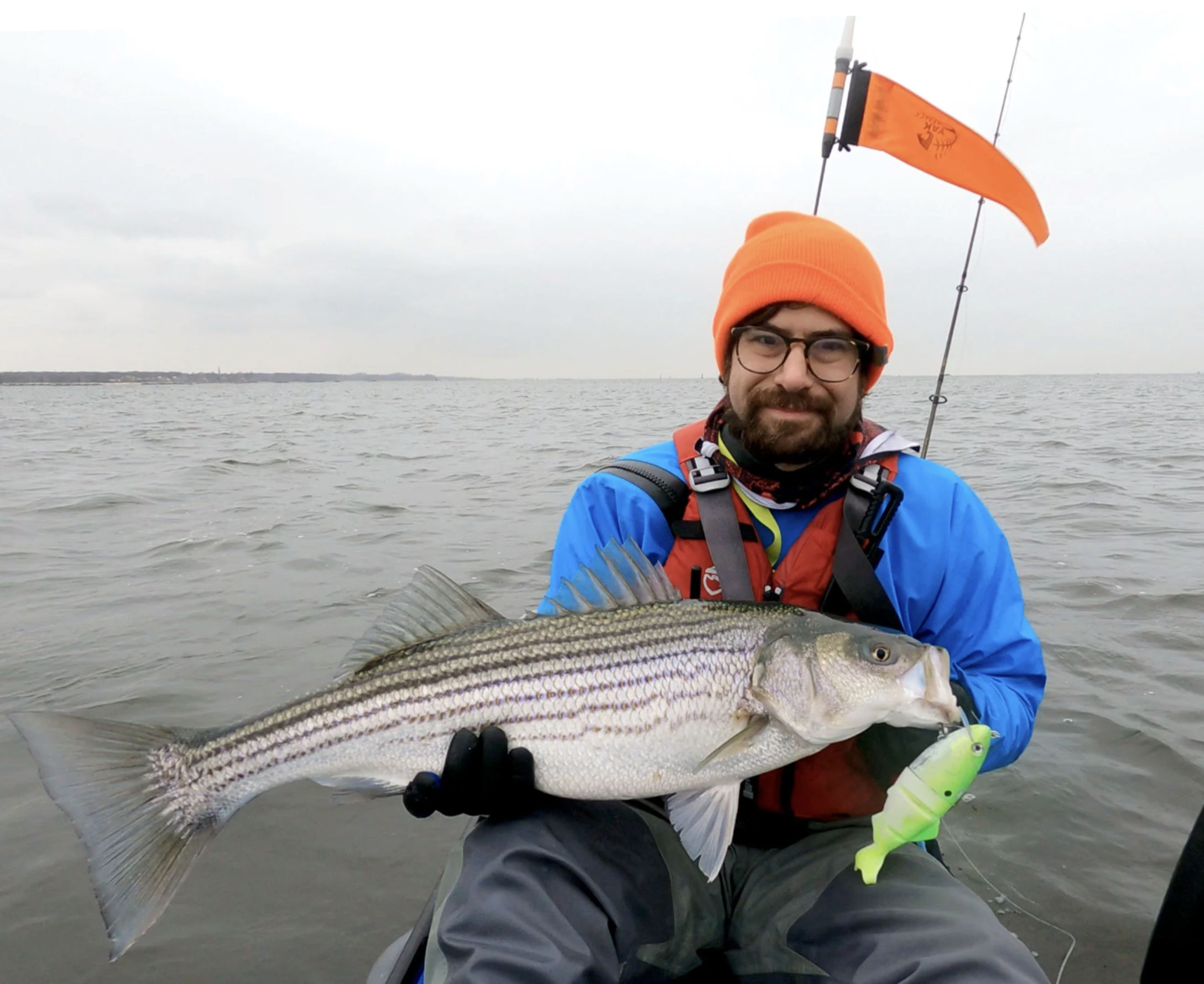 Screenshot 2026-03-03 at 3.36.18 PM.png