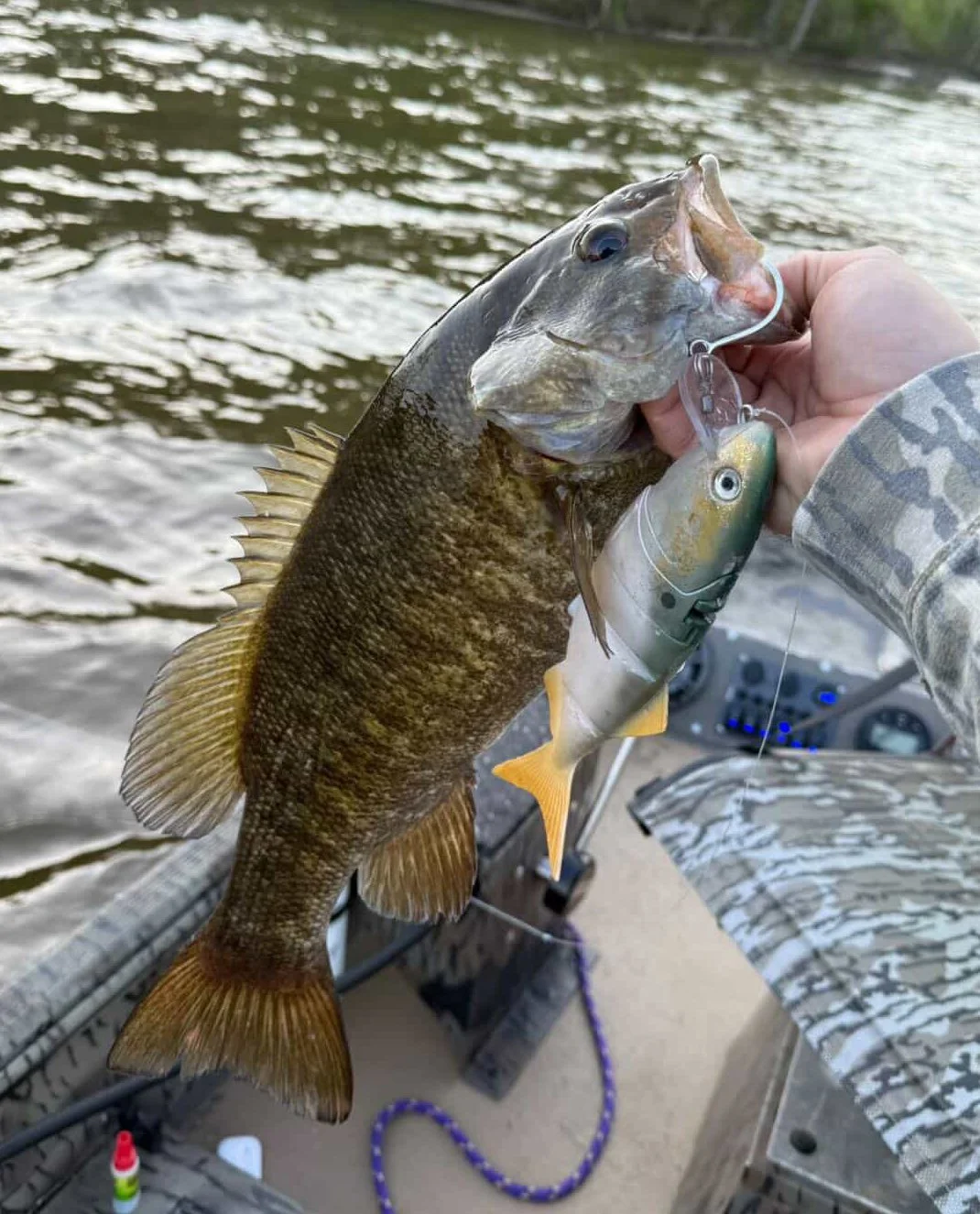 Smallmouth on Bunk.jpg