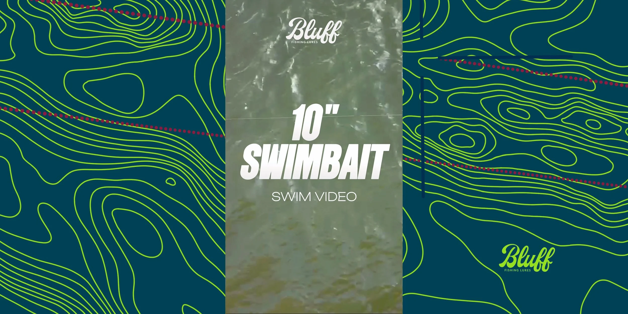 1oin Seim Vid Thumb .jpg