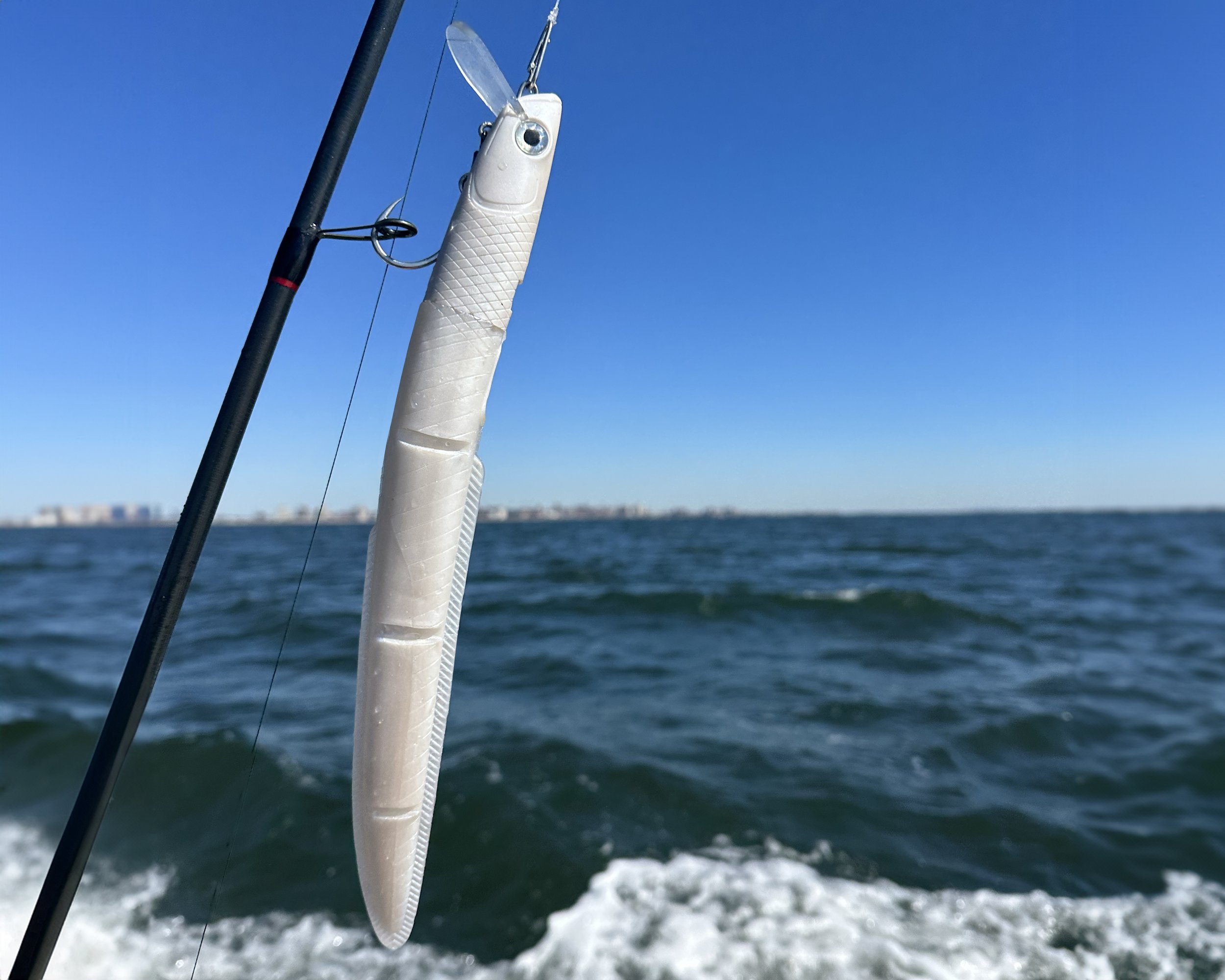 Eel On Boat copy.jpg