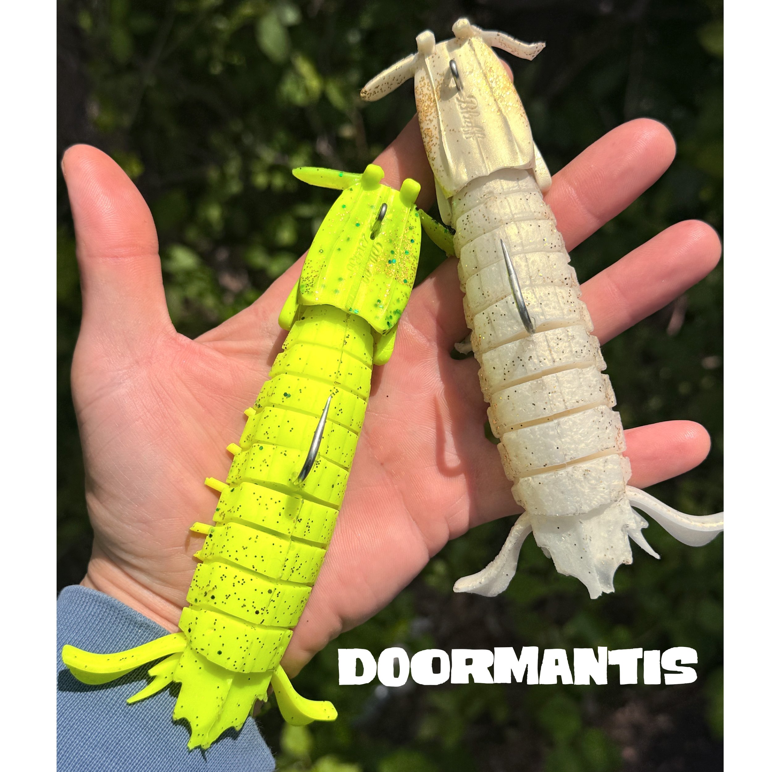 Doormantis Top View.JPG