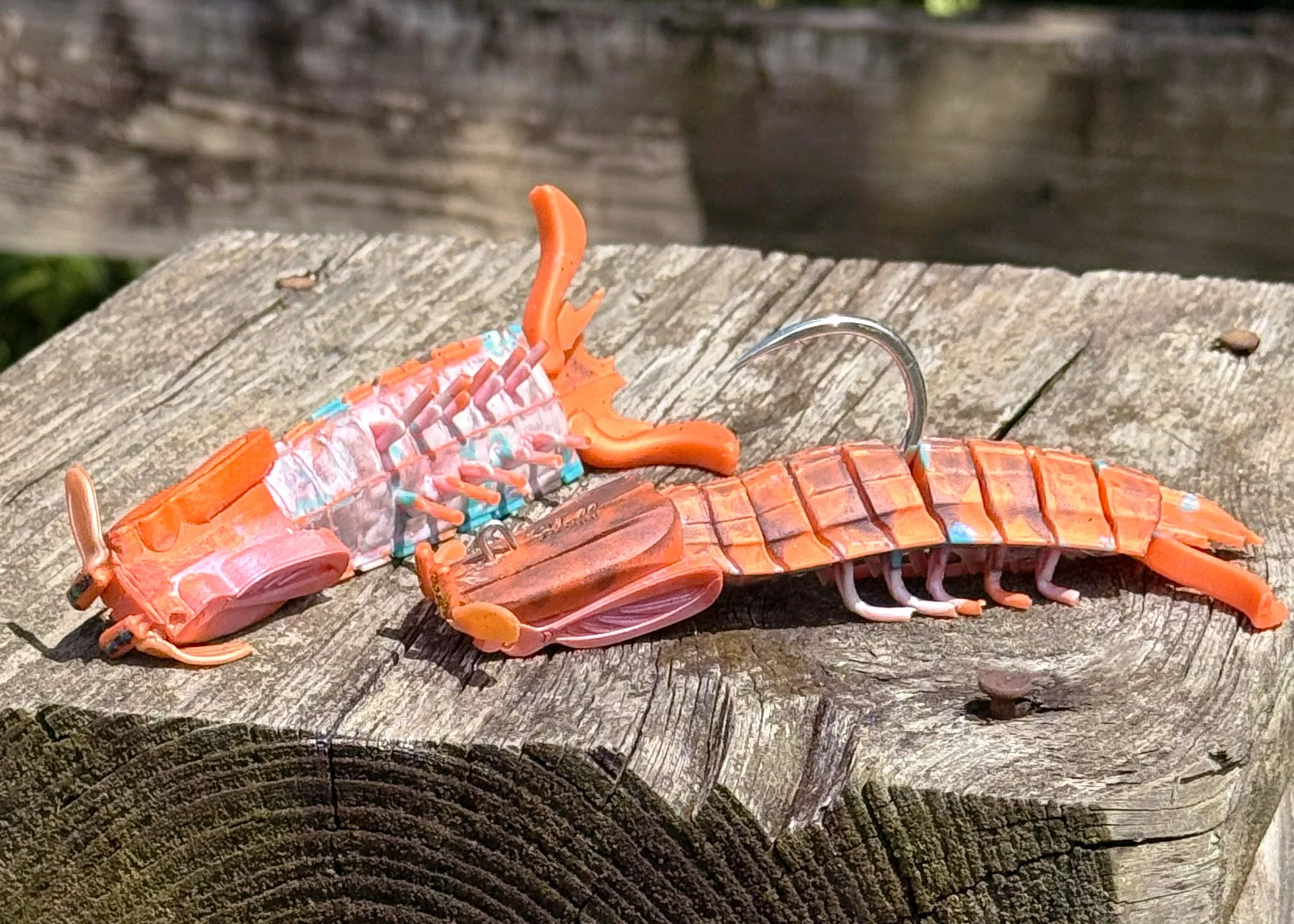 Lobstar A.jpg