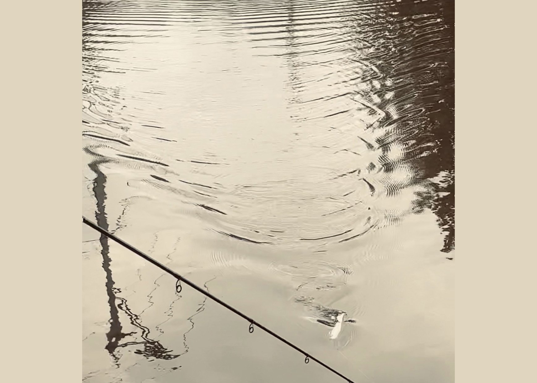 SS wake 2.jpg