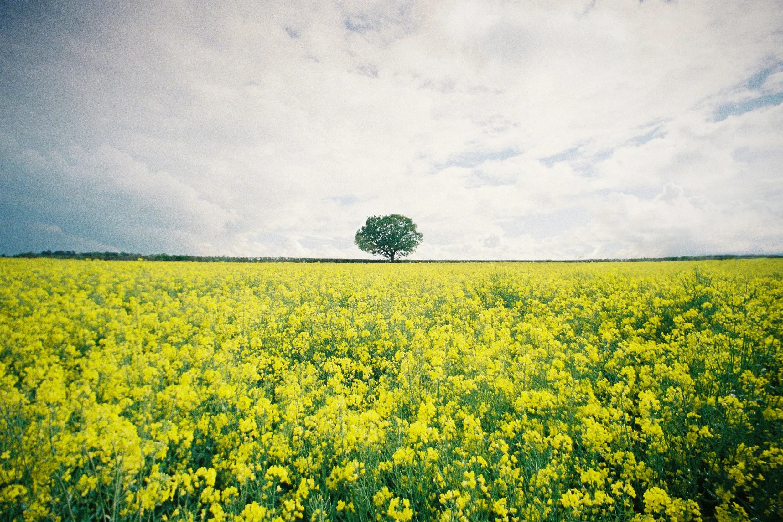 True Faith and the Test of Isaac