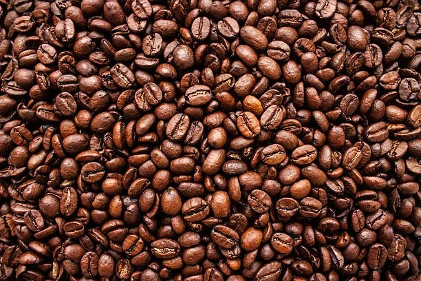 beans 2.jpg