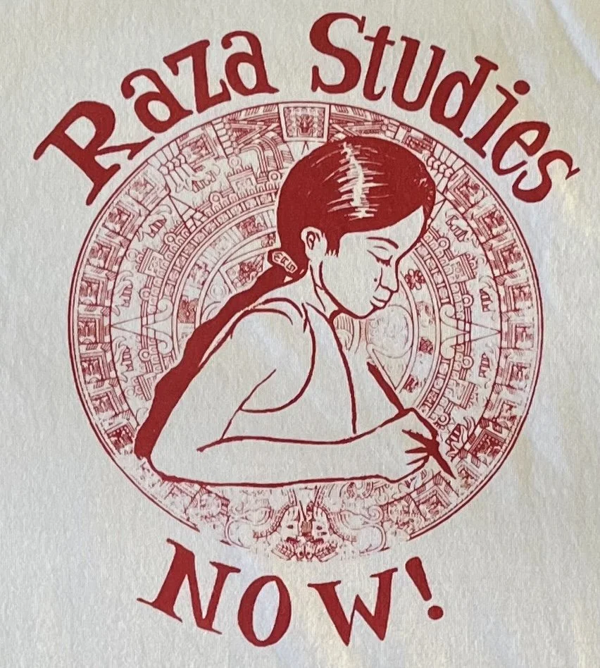 Raza Studies Now T-Shirt (detail).jpeg