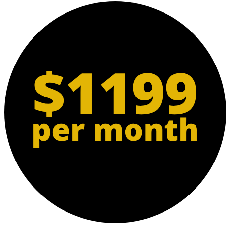 Ezer VA Group's business packages start at $1199 per month.