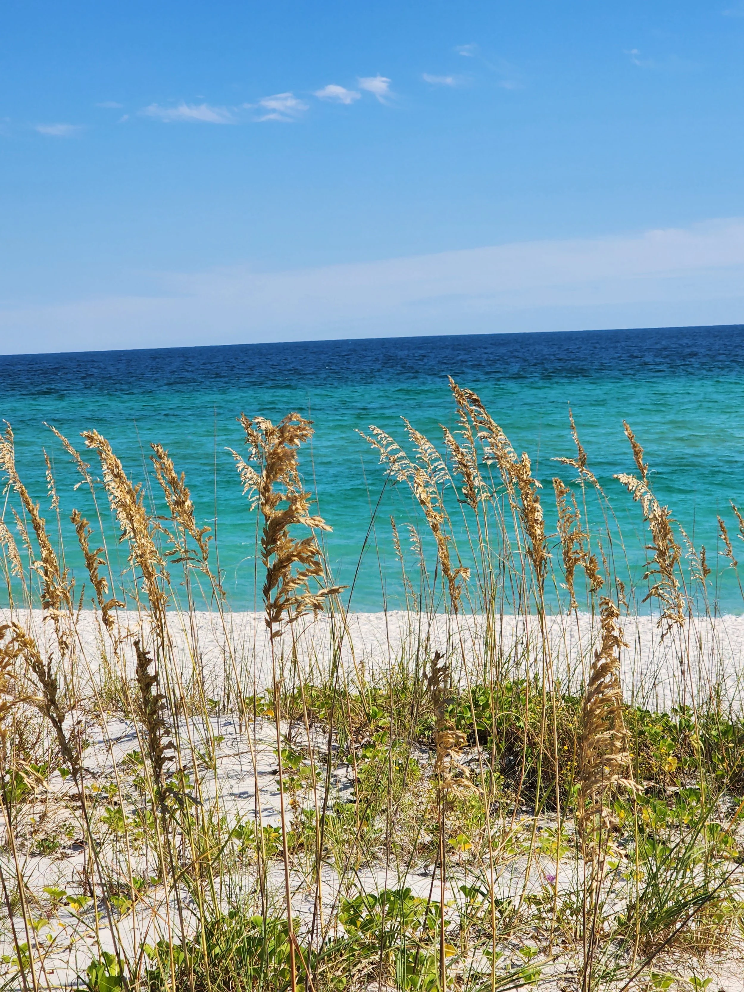 Beach with sandy shore, tall grasses, and turquoise ocean under a blue sky with some clouds.