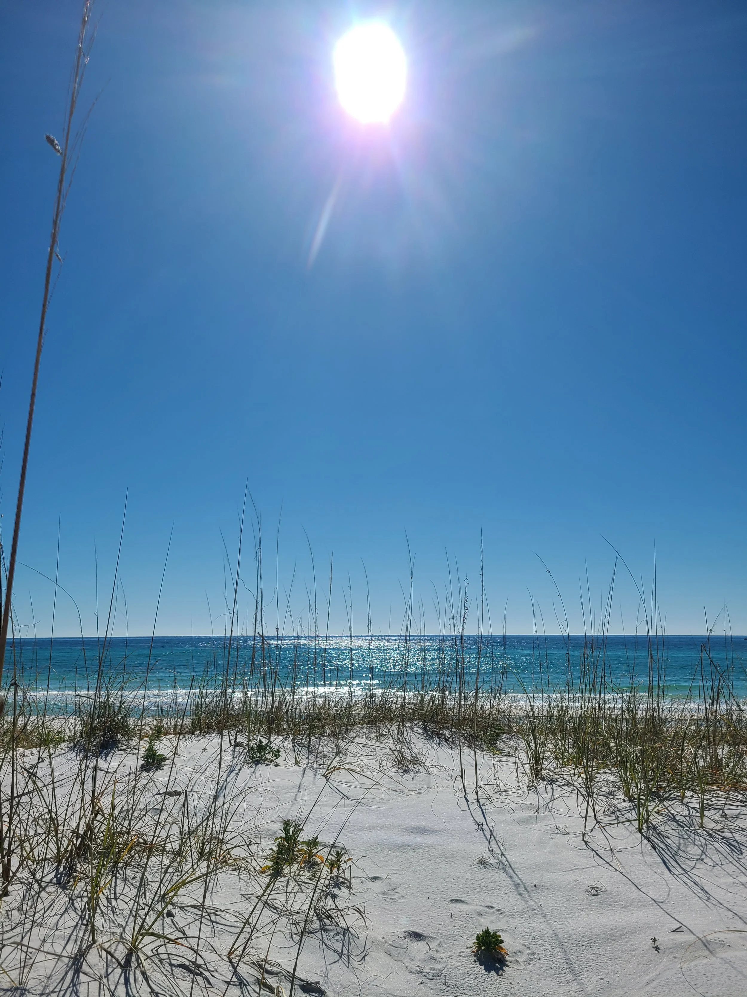 Sunny beach scene with white sand, beach grass, blue ocean, and clear sky with the sun shining brightly.