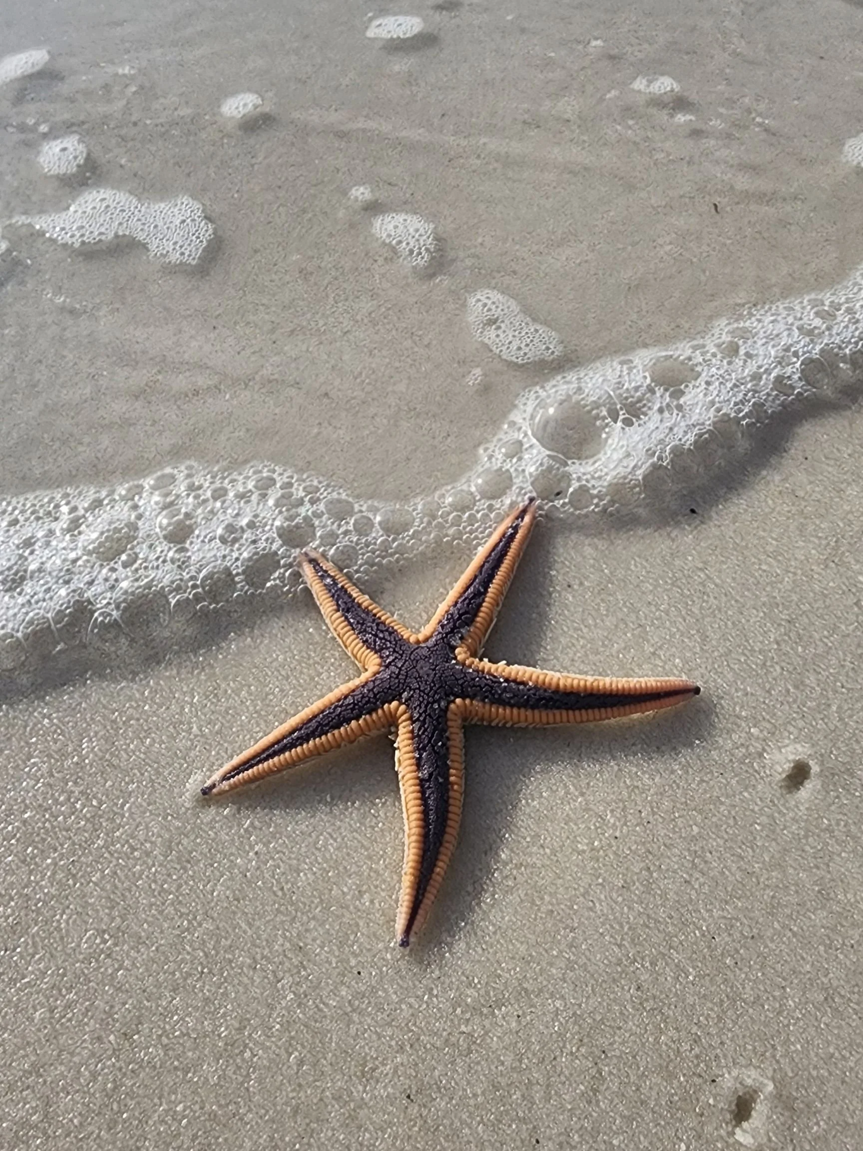 Journaling for growth and healing with Marie.