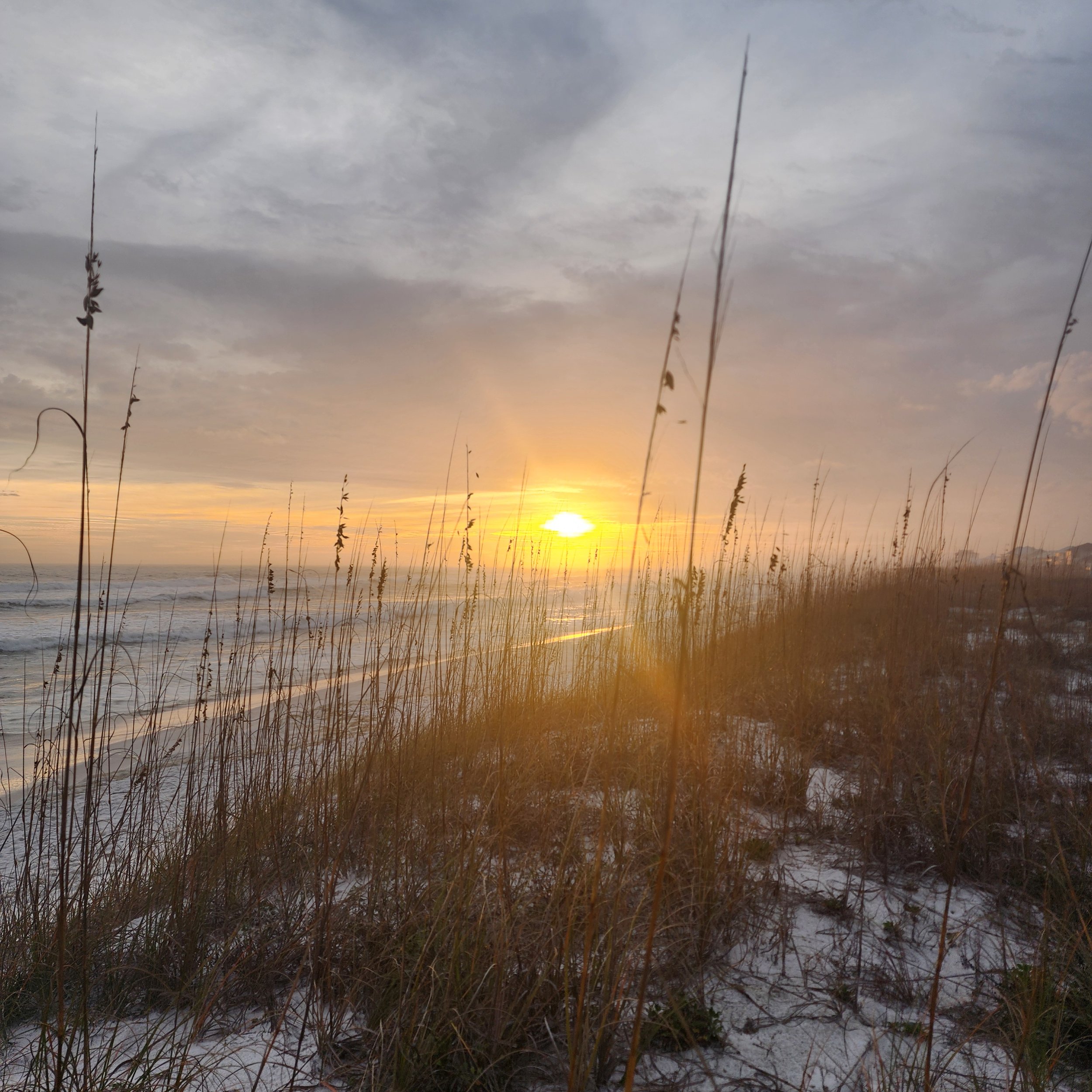 Sunset over the beach with sand dunes and tall grass in the foreground, and the ocean in the background.