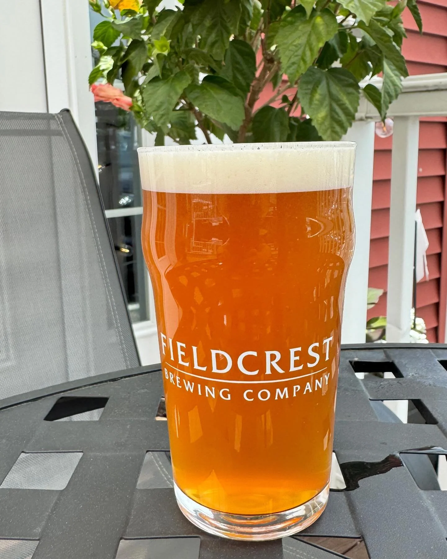 Fieldcrest Brewing Company