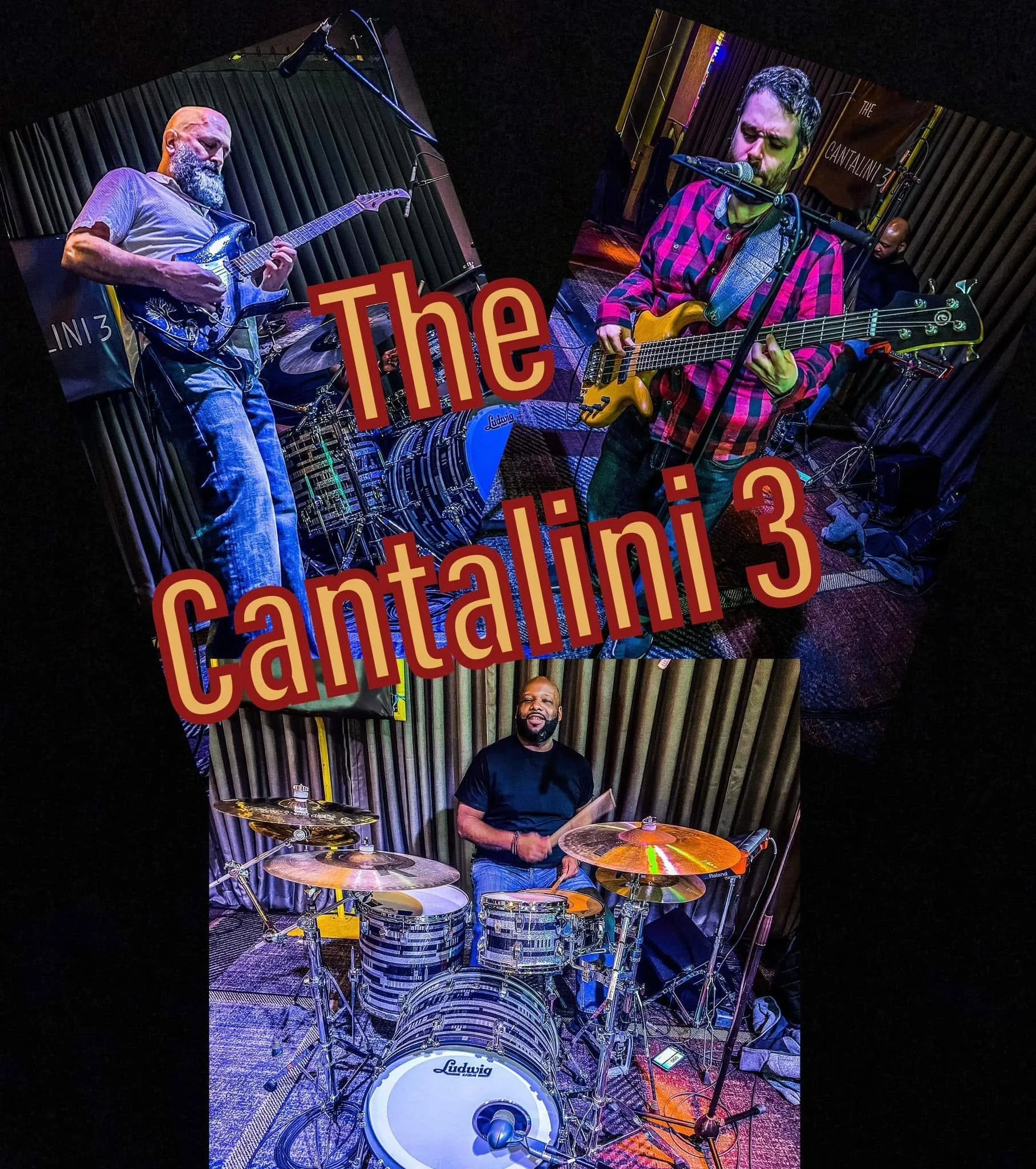 FERN VALLEY FARMS- Cantalini 3 Band
