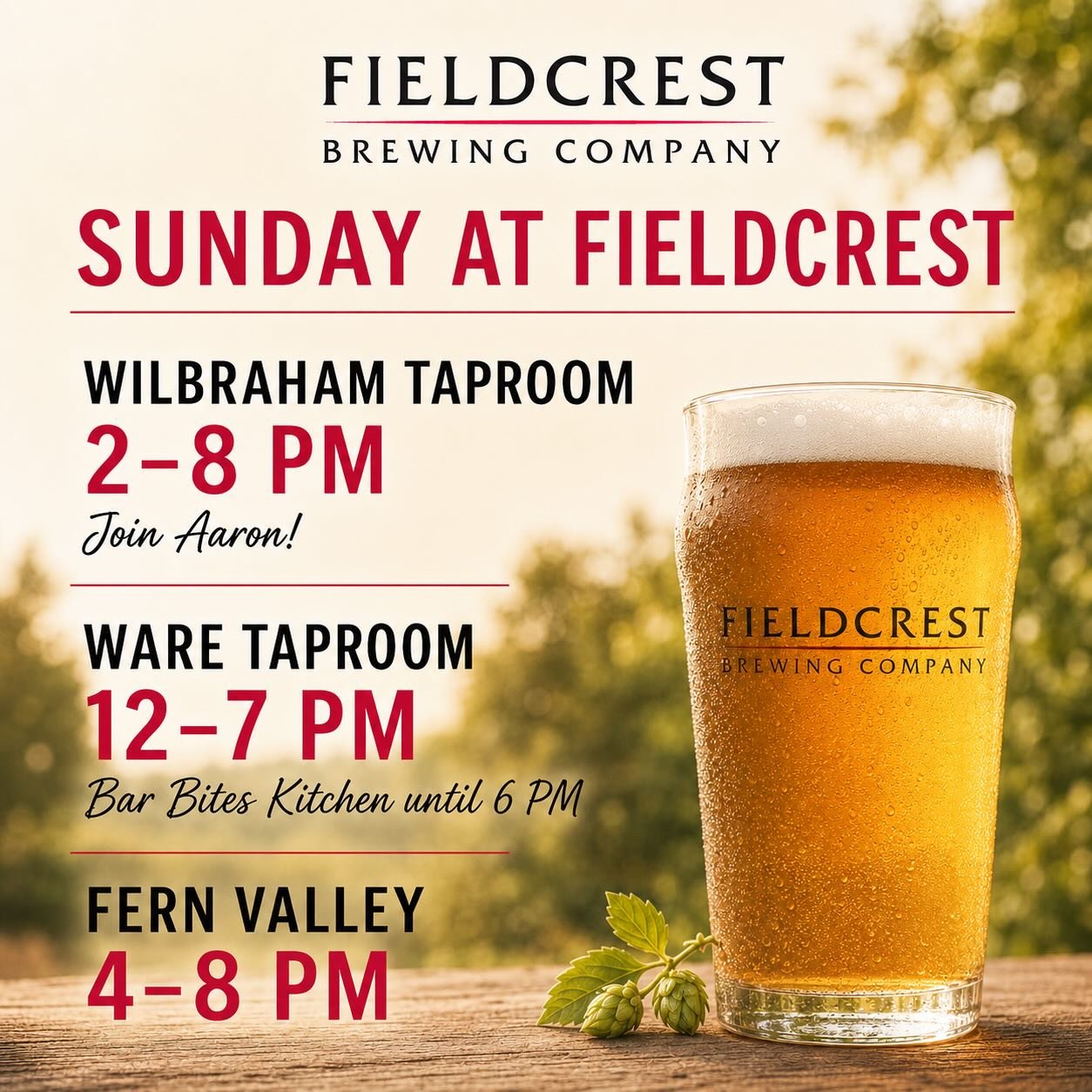 🍺 SUNDAY AT FIELDCREST BREWING! 🍺
Three locations and three great ways to enjoy your Sunday!
📍 Wilbraham Taproom
Open 2&ndash;8 PM &mdash; stop in and join Aaron for a Fieldcrest beer!
📍 Ware Taproom
Open 12&ndash;7 PM
🍴 Bar Bites Kitchen servin