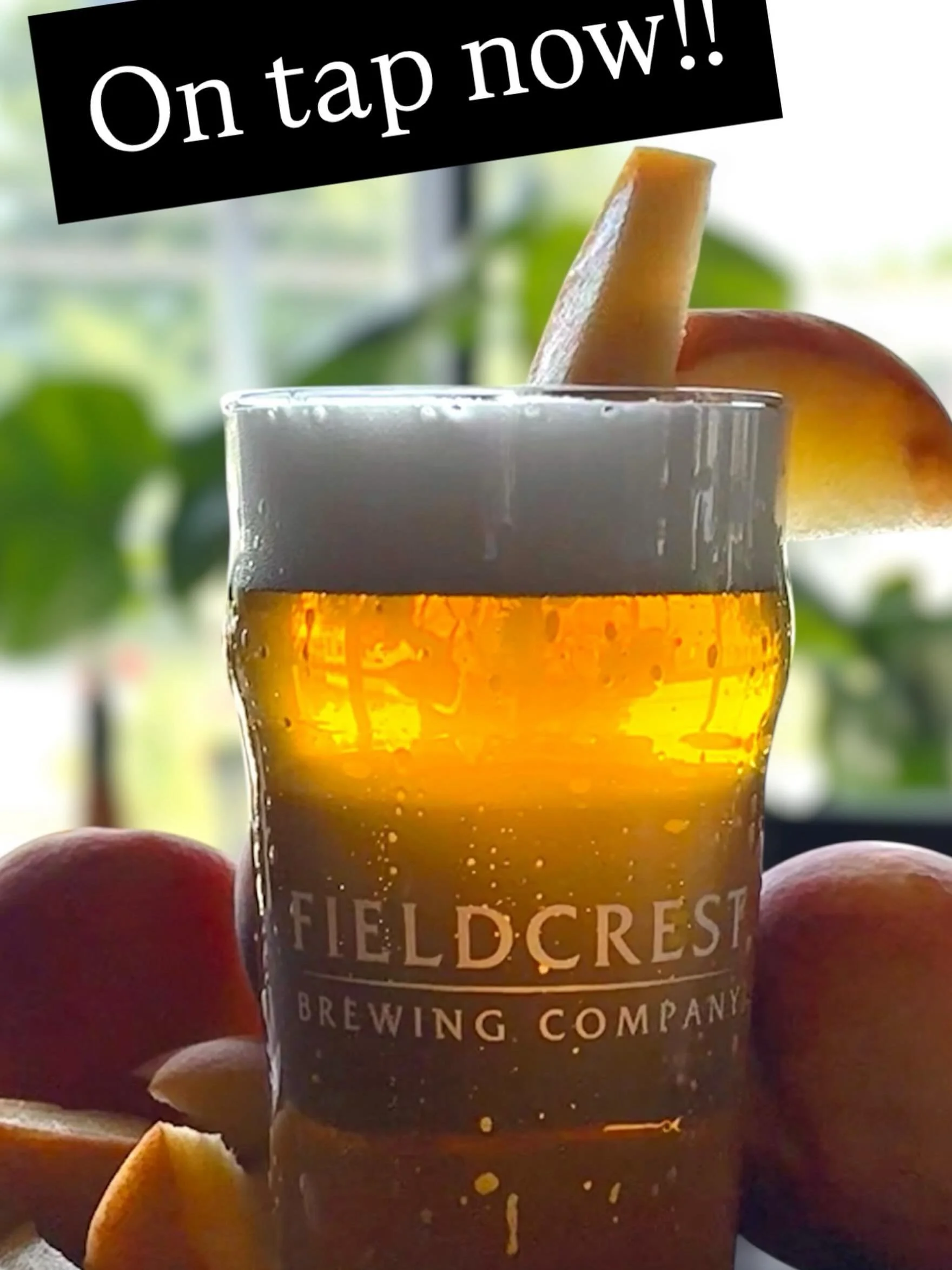 🍑☀️ WE&rsquo;RE HOLDING ONTO SUMMER! ☀️🍑
We know some of you are already thinking fall, pumpkins and apple season&hellip; but around here, we&rsquo;re holding onto summer as long as we can! 😎🍺

And EZ Peachy is the perfect beer for it.
This light