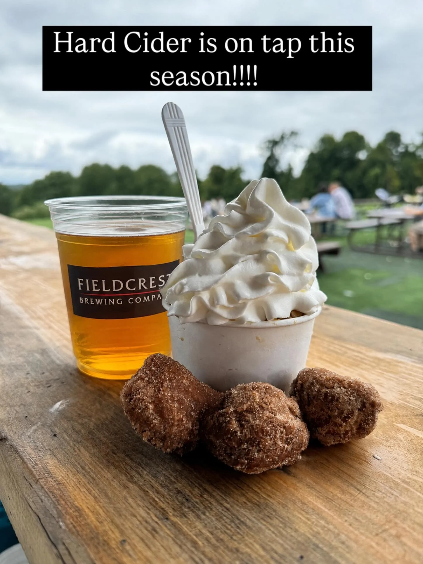 🍎🍺 YOU ASKED FOR HARD CIDER&mdash;AND WE TOOK IT SERIOUSLY! 🍺🍎

Every year, you&rsquo;ve asked us to bring hard cider to Fern Valley Farms. So we purchased a whole other location just so we could make it and bring it to you&mdash;no exaggeration!