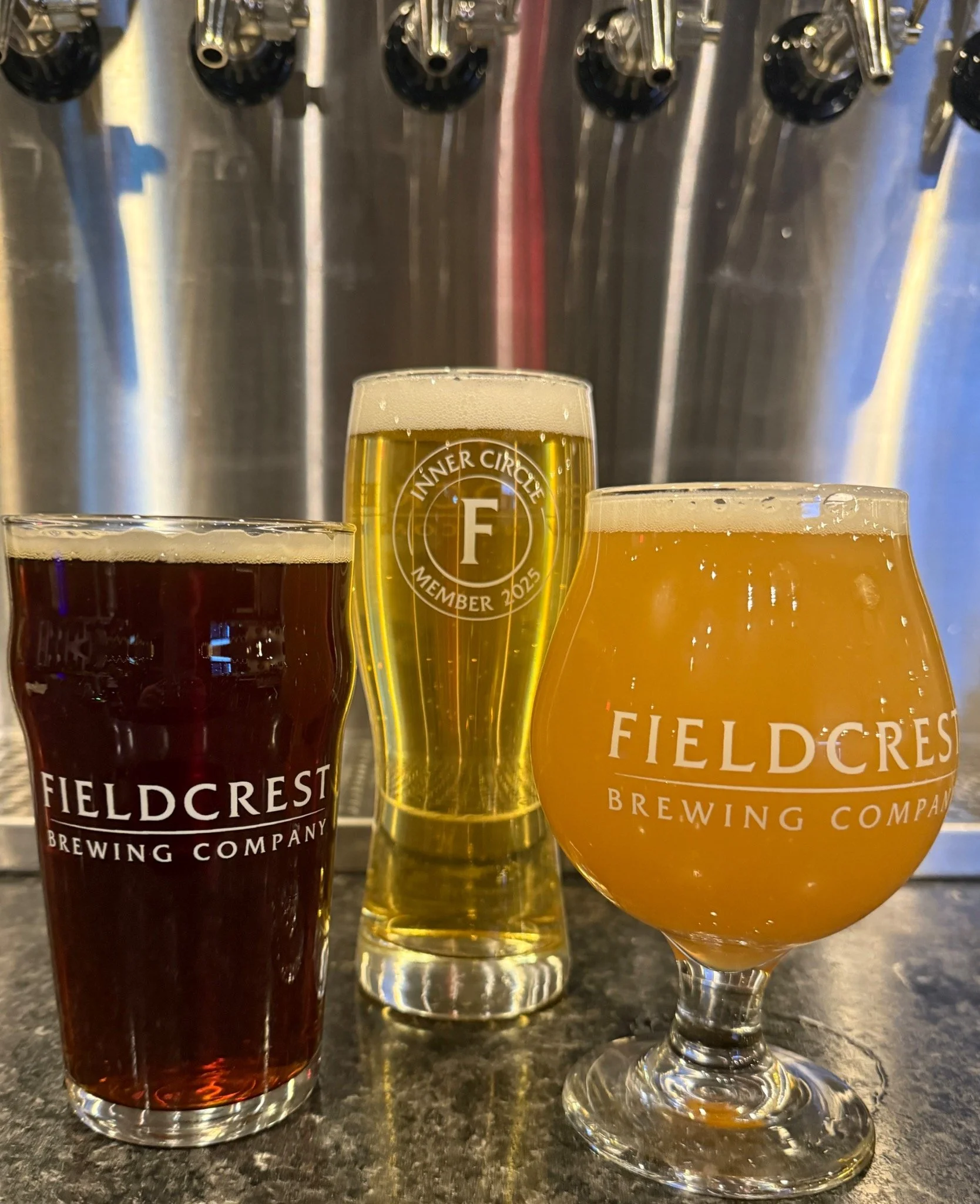 Three Fieldcrest beers in front of the taps
