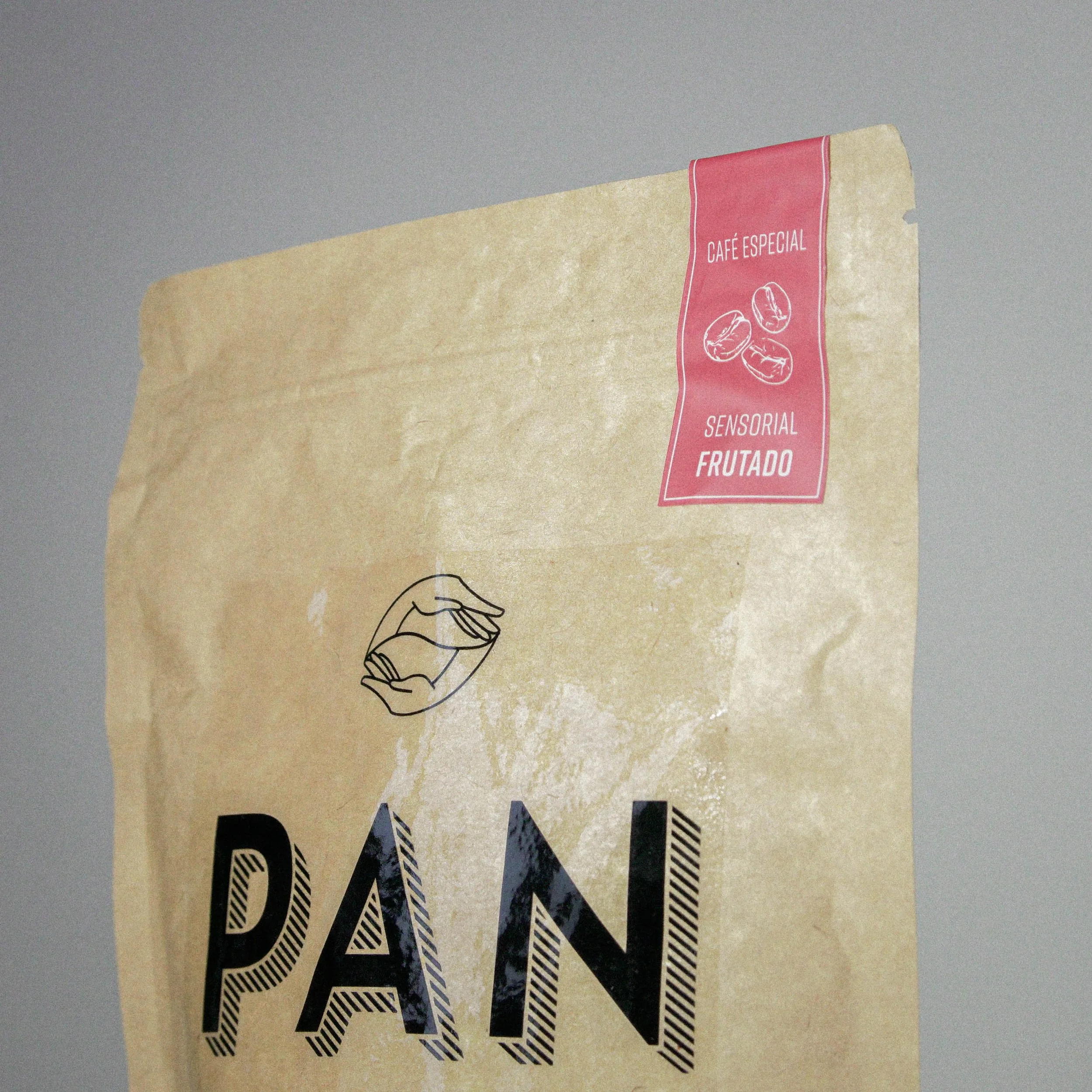 Snake Palnt Sansevieria-10.jpg