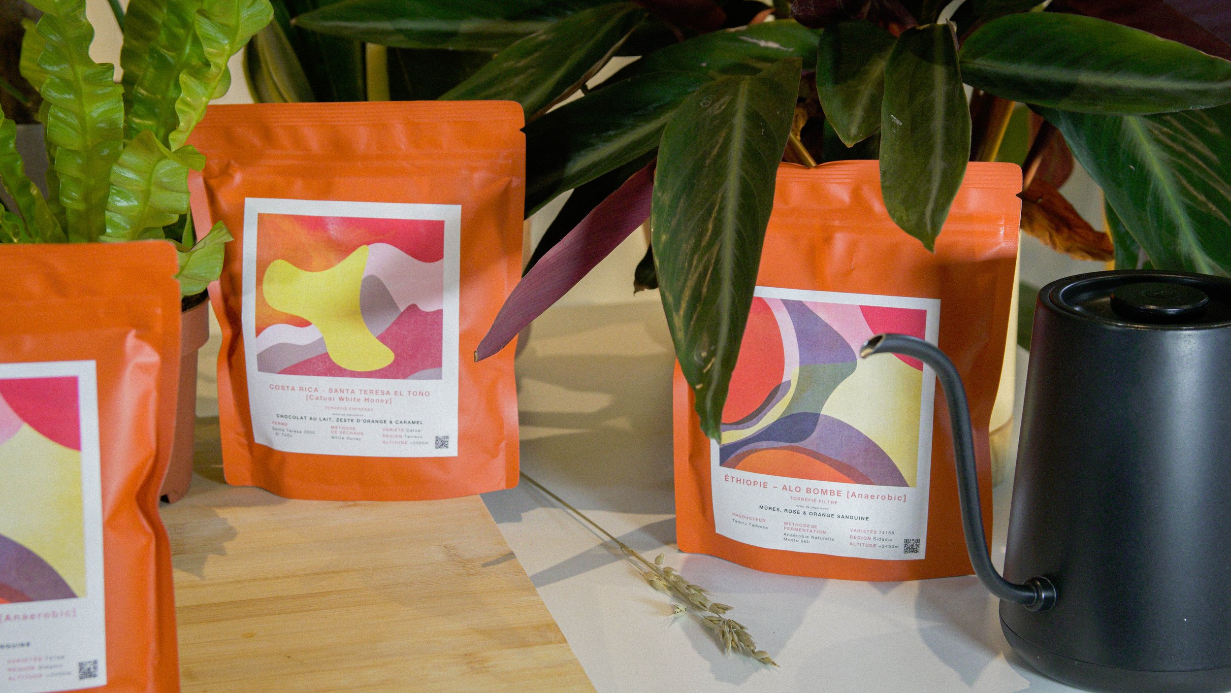 Coffee bags on a table with colorful labels, surrounded by green plants, and a black pour-over kettle.