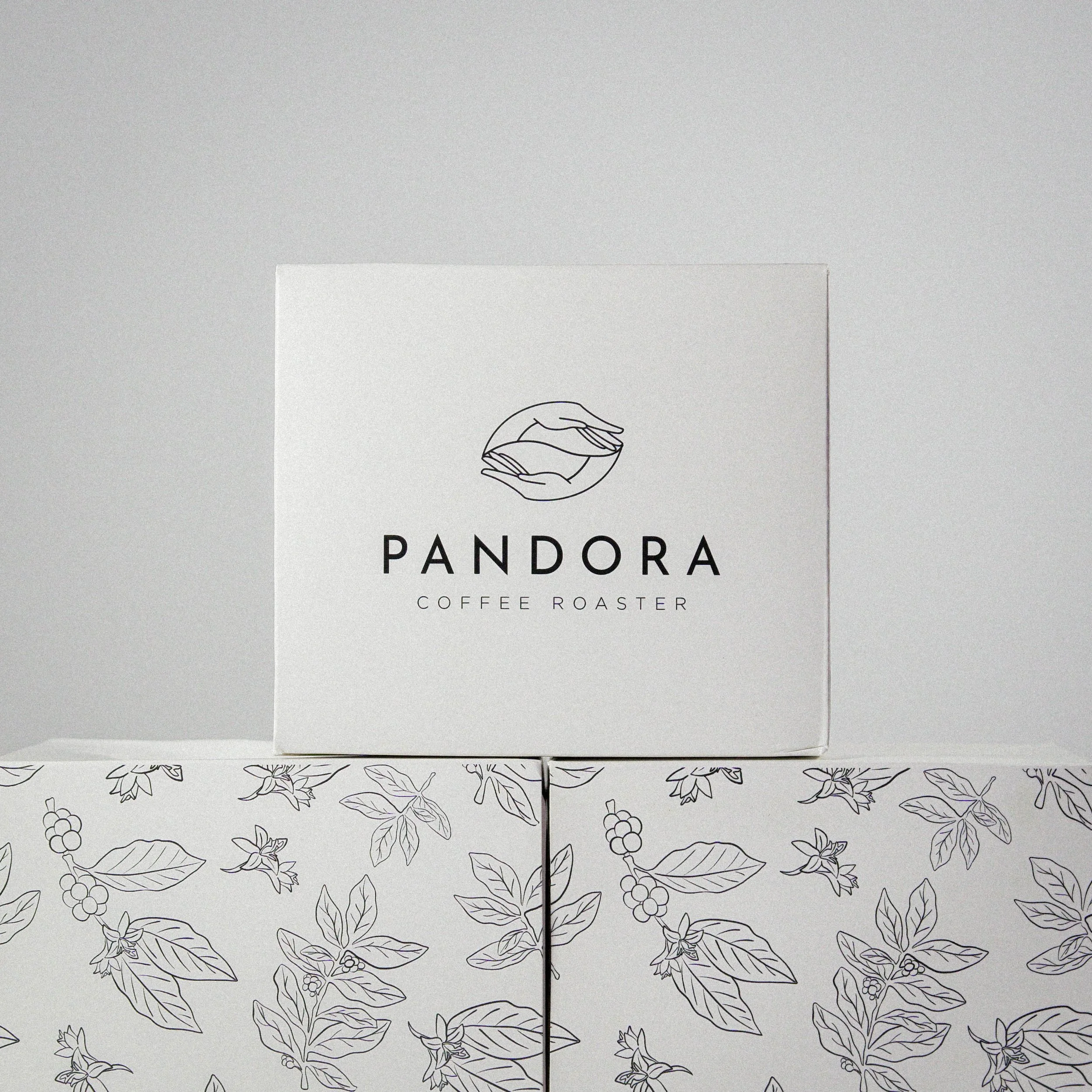 Snake Palnt Sansevieria-4.jpg